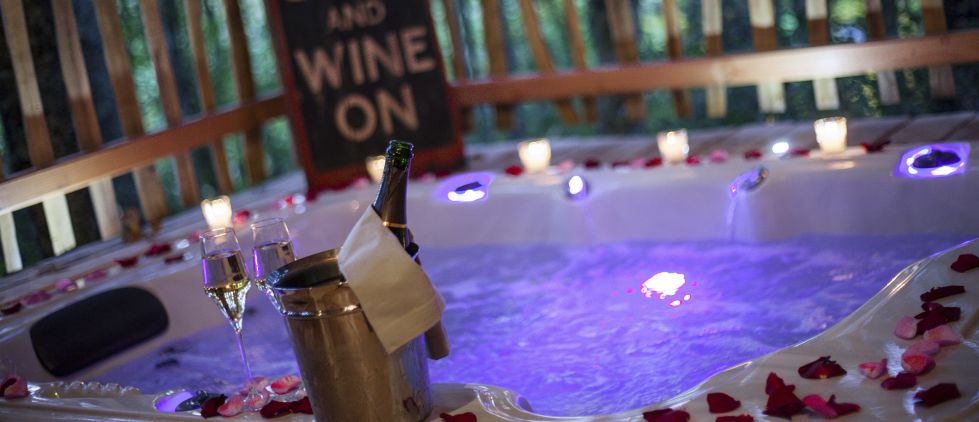 Lodge Vigne & Spa — Cabane dans les arbres avec spa à 5m en Gironde à Gironde-sur-Dropt — chambre