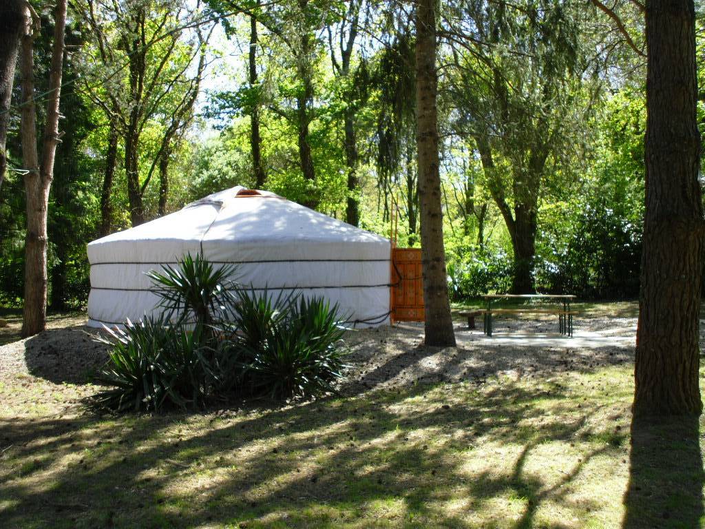 Vivez l'expérience unique de la Yourte Lila en Vendée à Landeronde — vue intérieure