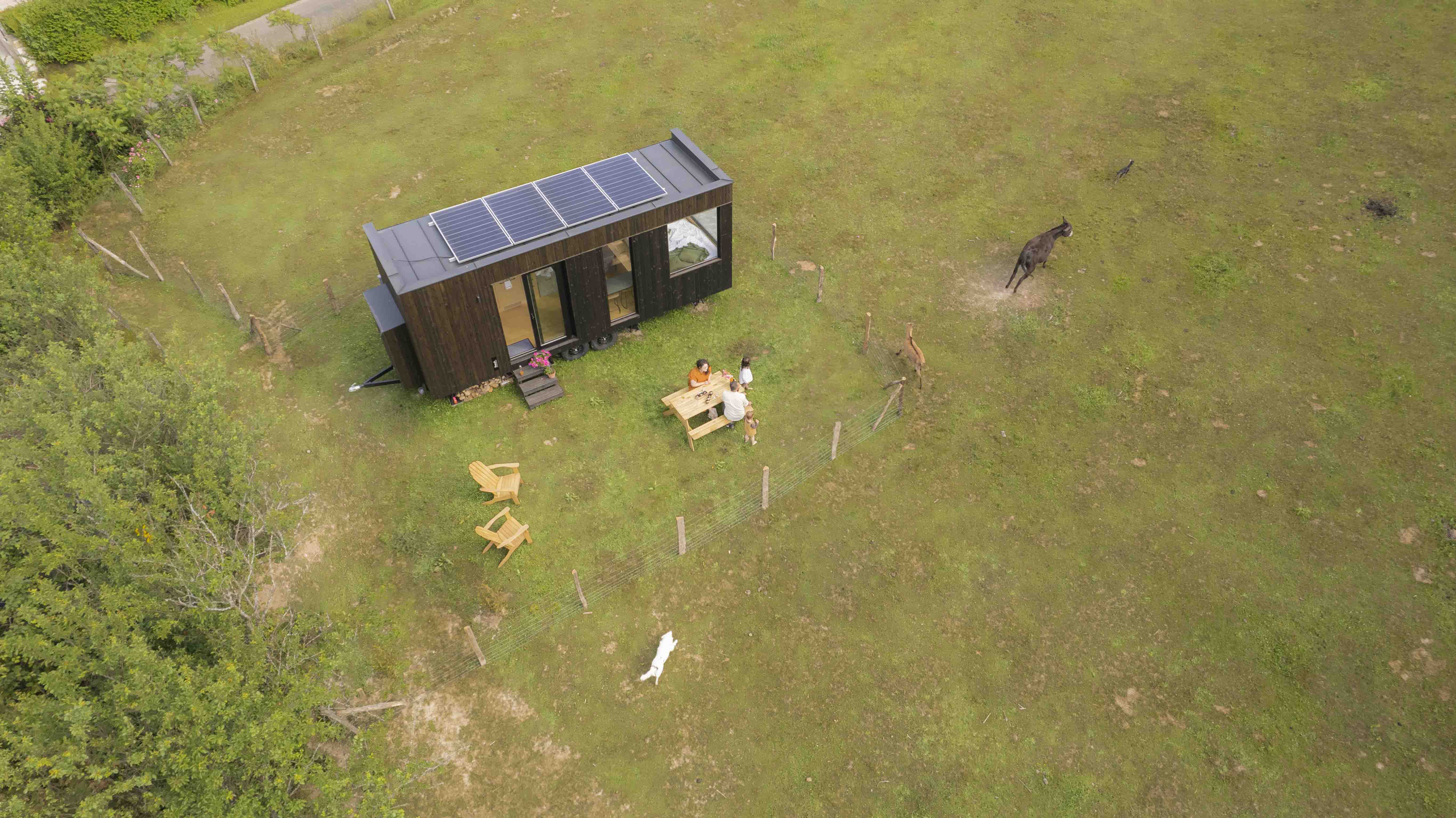 Tiny house au cœur du Jura : une expérience immersive près des animaux