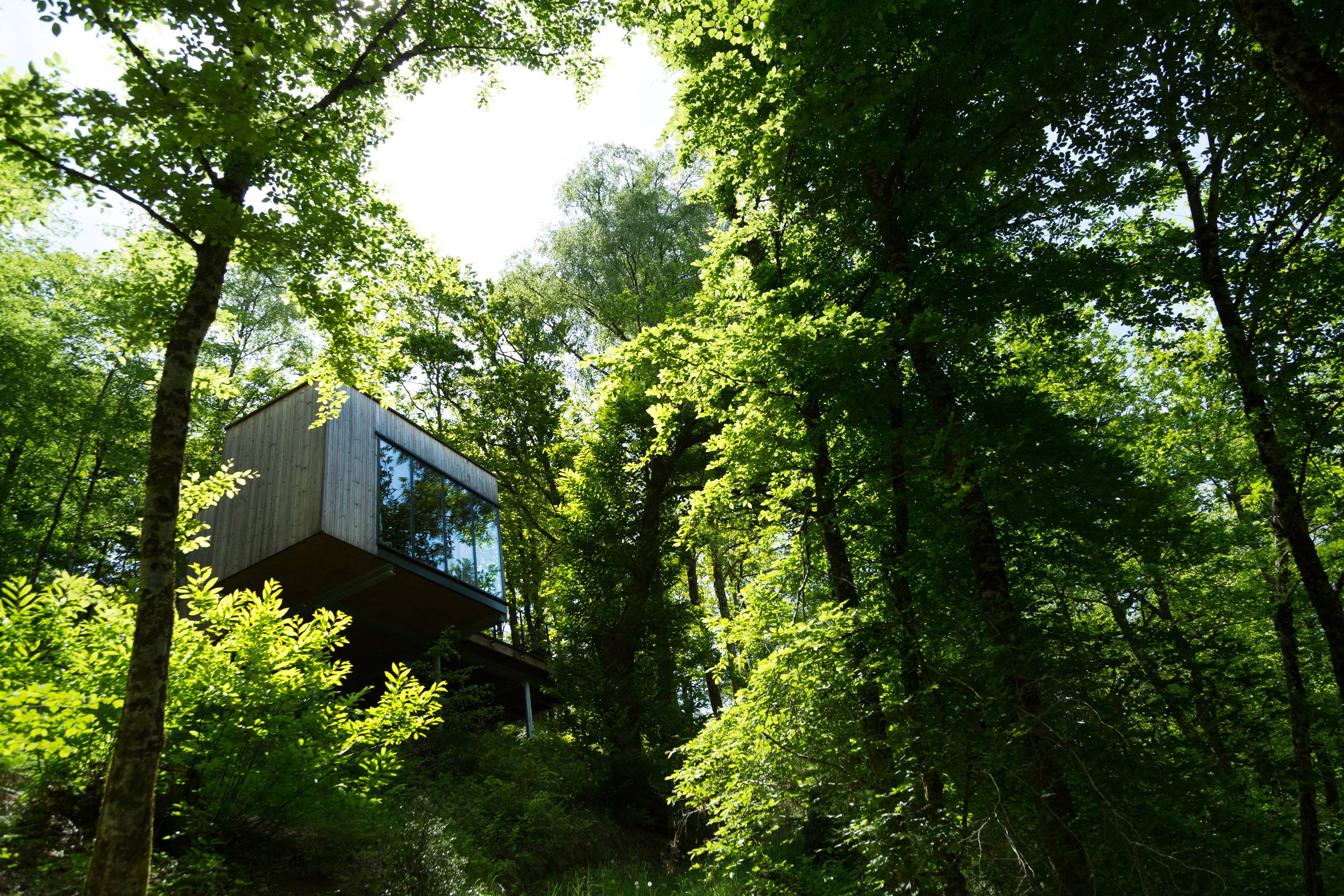 Cabane Cèdre : une immersion dans les arbres en Limousin — Cabane à Meyrignac L’Eglise