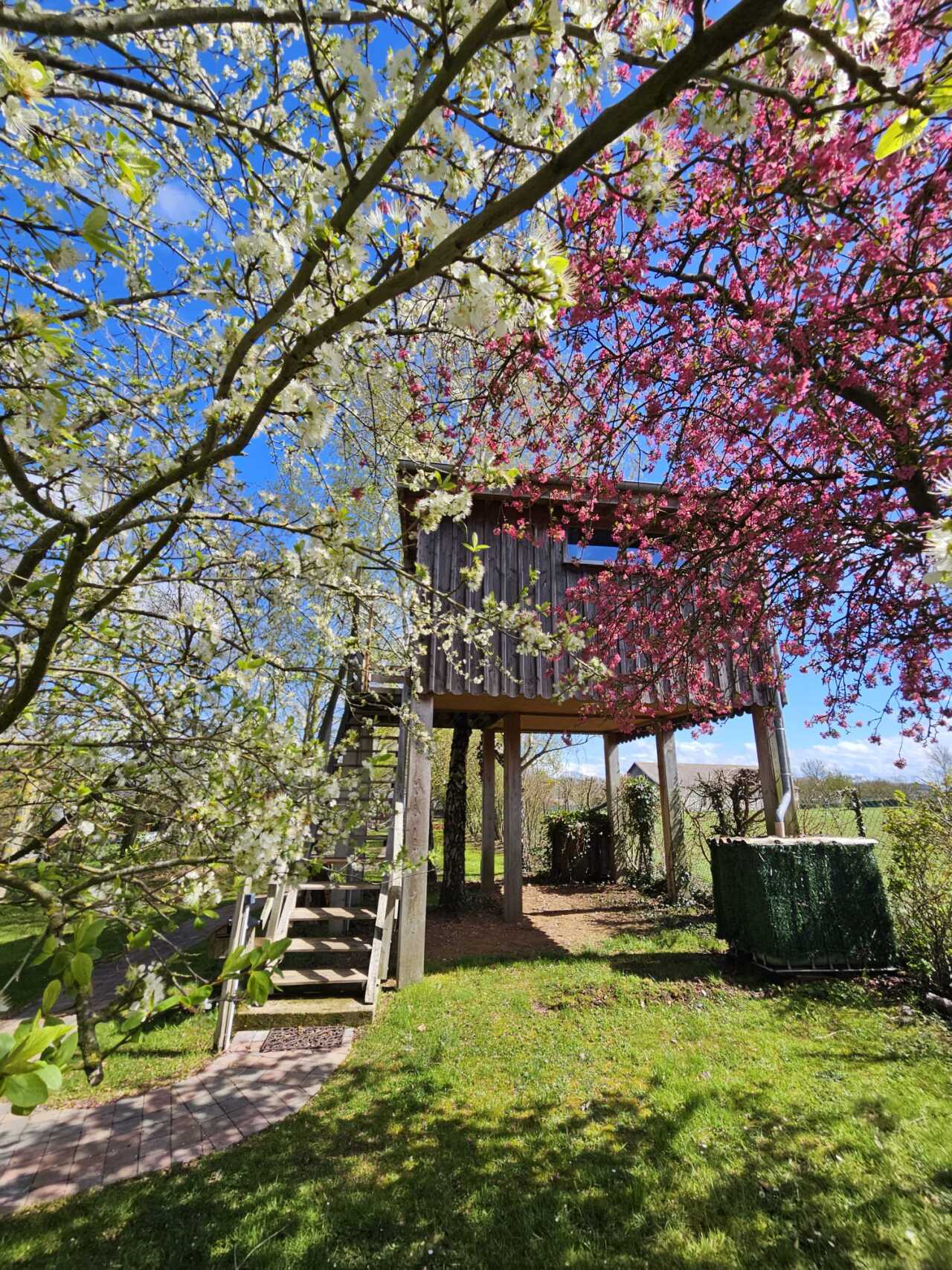 L'Ours Brun : une cabane sur pilotis au cœur de la Picardie à Essuiles — détail architectural