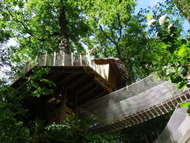 Cabane de la ferme : une expérience immersive dans les arbres