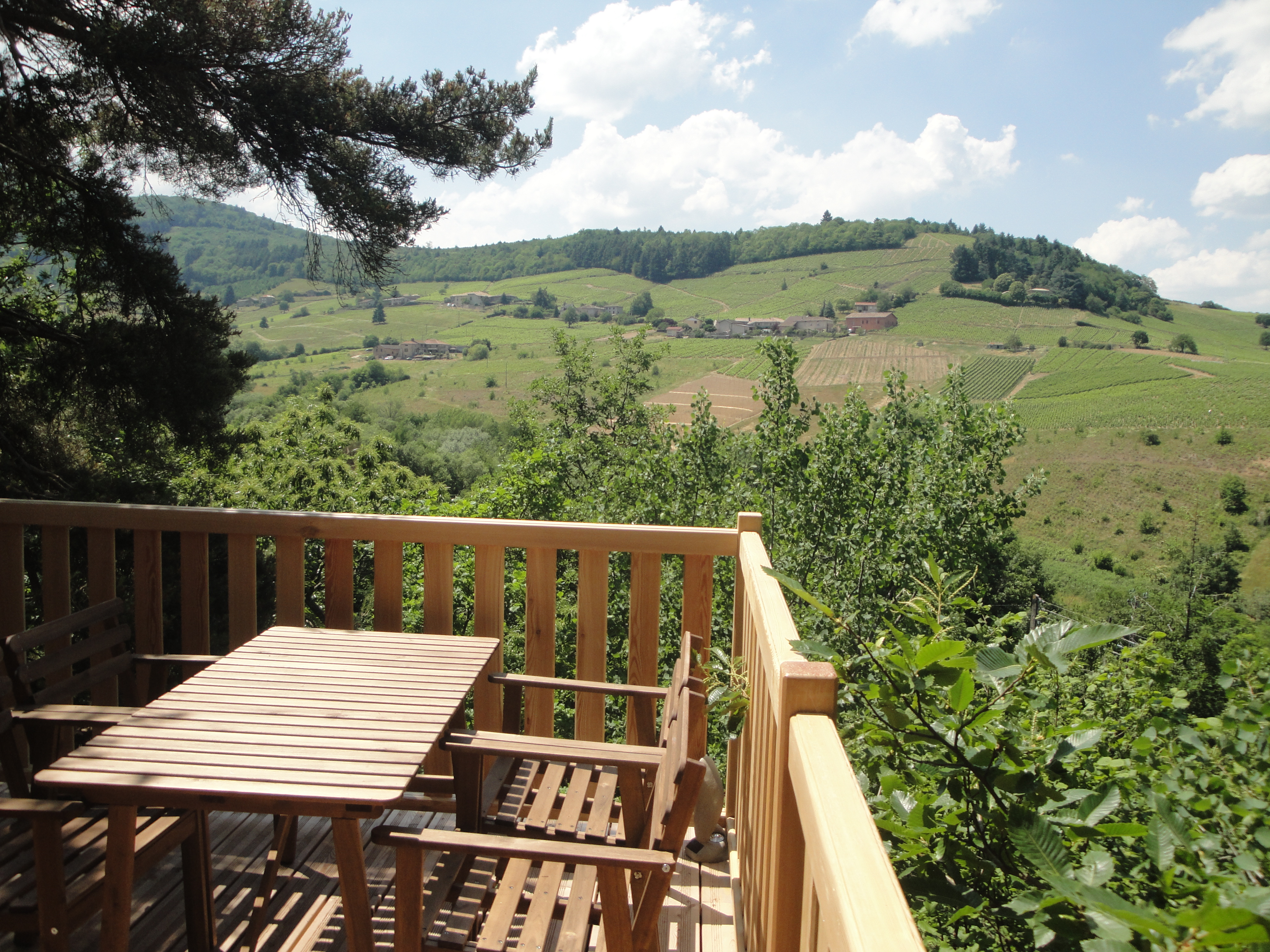 L’Octo’gone’ : une cabane sur pilotis au cœur des Rhône-Alpes à Quincié En Beaujolais — vue depuis la terrasse