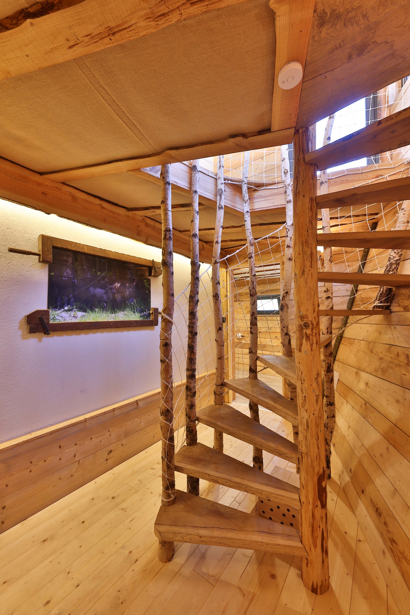 La Cabane du Fermier & Spa : une évasion en pleine nature à Mittlach — environnement naturel