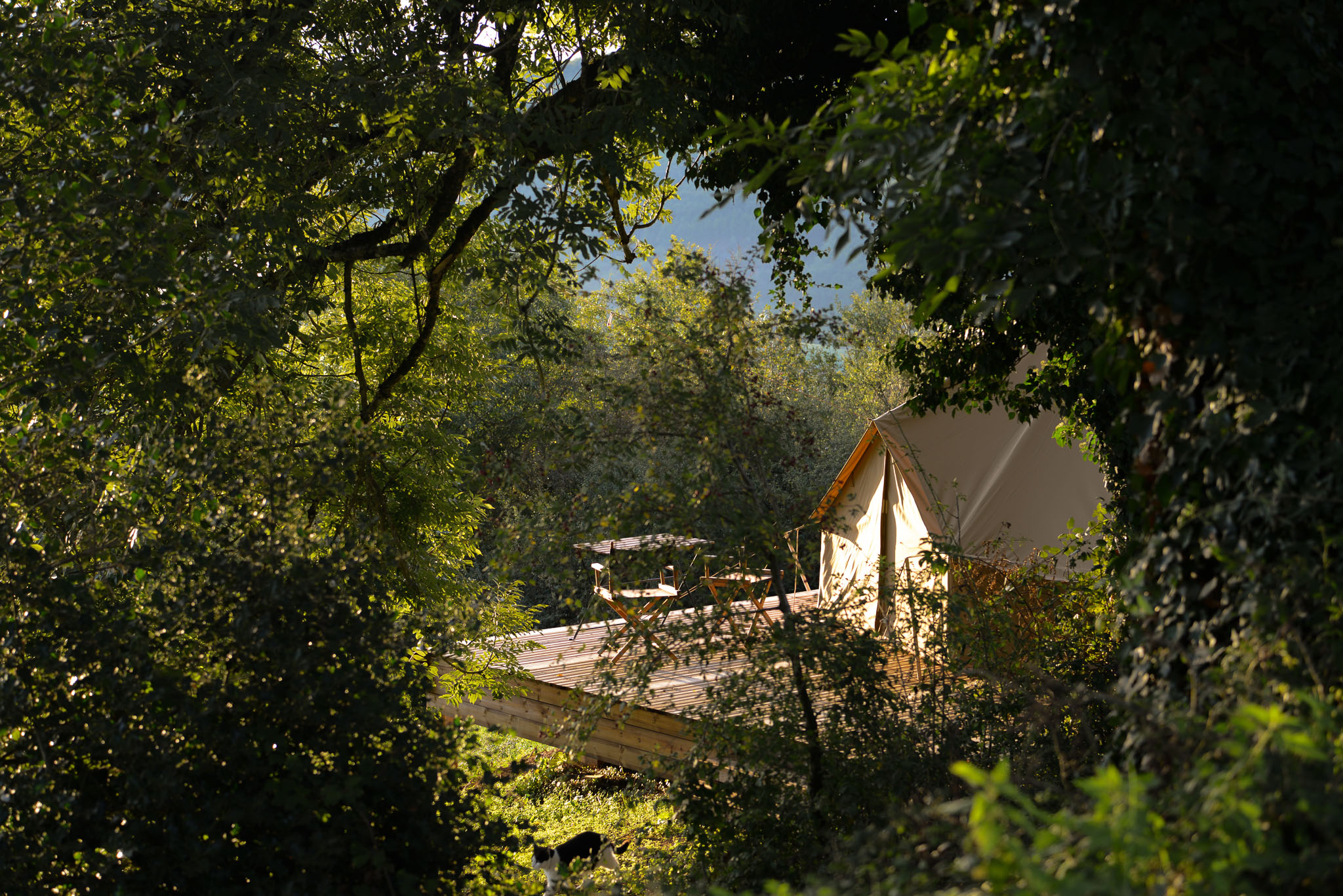 La Tente de Glamping — Tente avec piscine à Puech Long (Tarn)