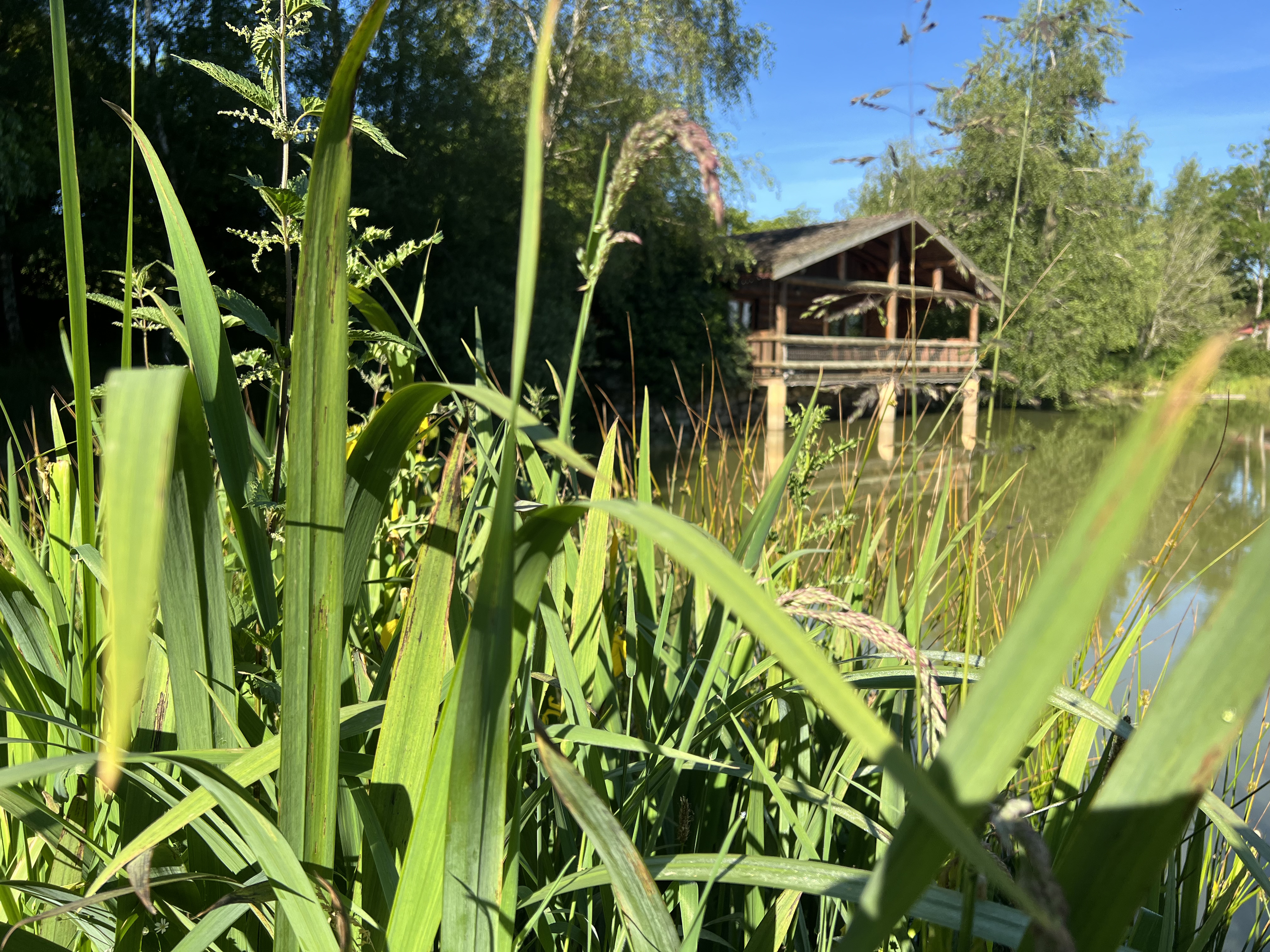 La cabane du Trappeur — Cabane avec spa à Creuse à La Nouaille — vue intérieure