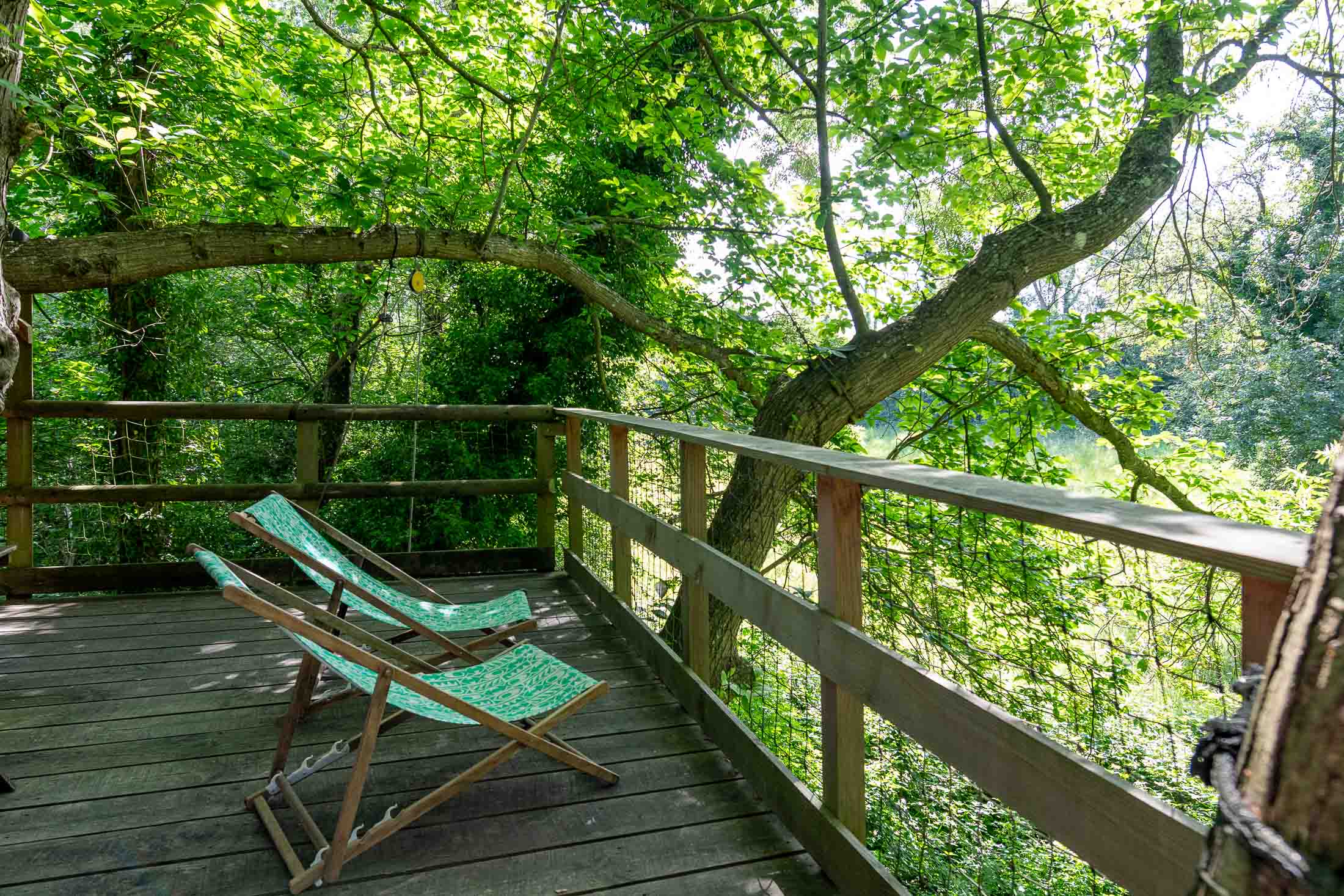 Cabane Pivert — Nuit perchée à 8m dans un châtaignier en Calvados à Caen — espace de vie