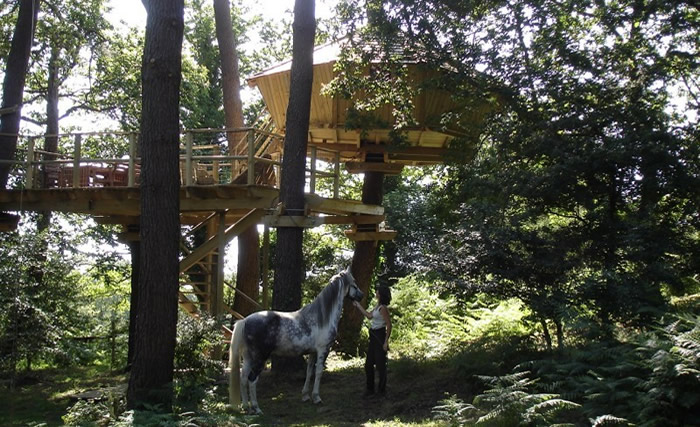 La cabane perchée Baman : une évasion dans les arbres en Bretagne à Ploemel — vue intérieure