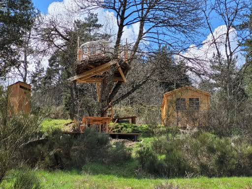 Le Nid : une cabane dans les arbres au cœur de la nature ardéchoise à Rochepaule — chambre