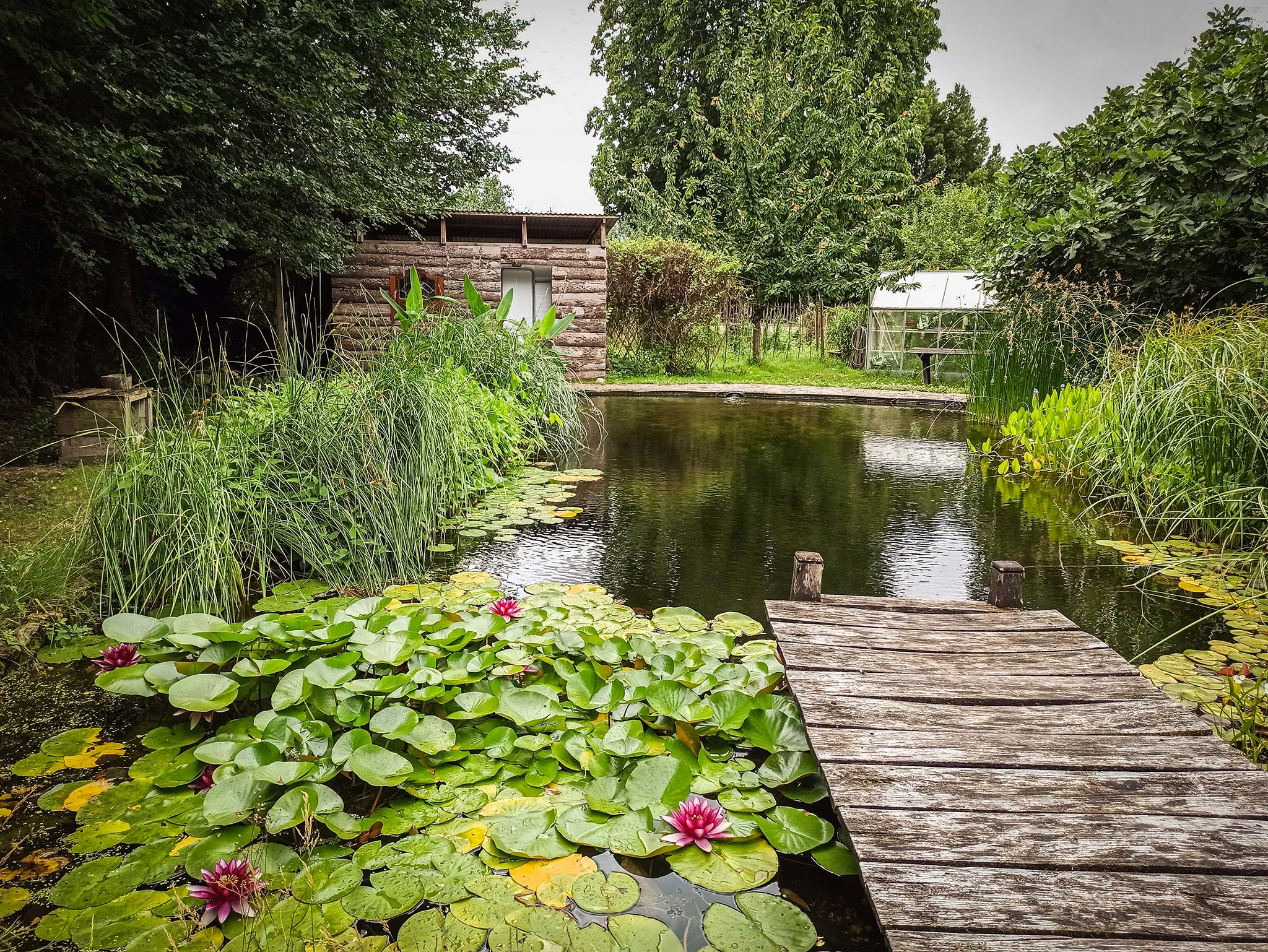 Roulotte climatisée avec piscine naturelle — Séjour paisible à La Ferme en Vienne à Poitiers — vue intérieure