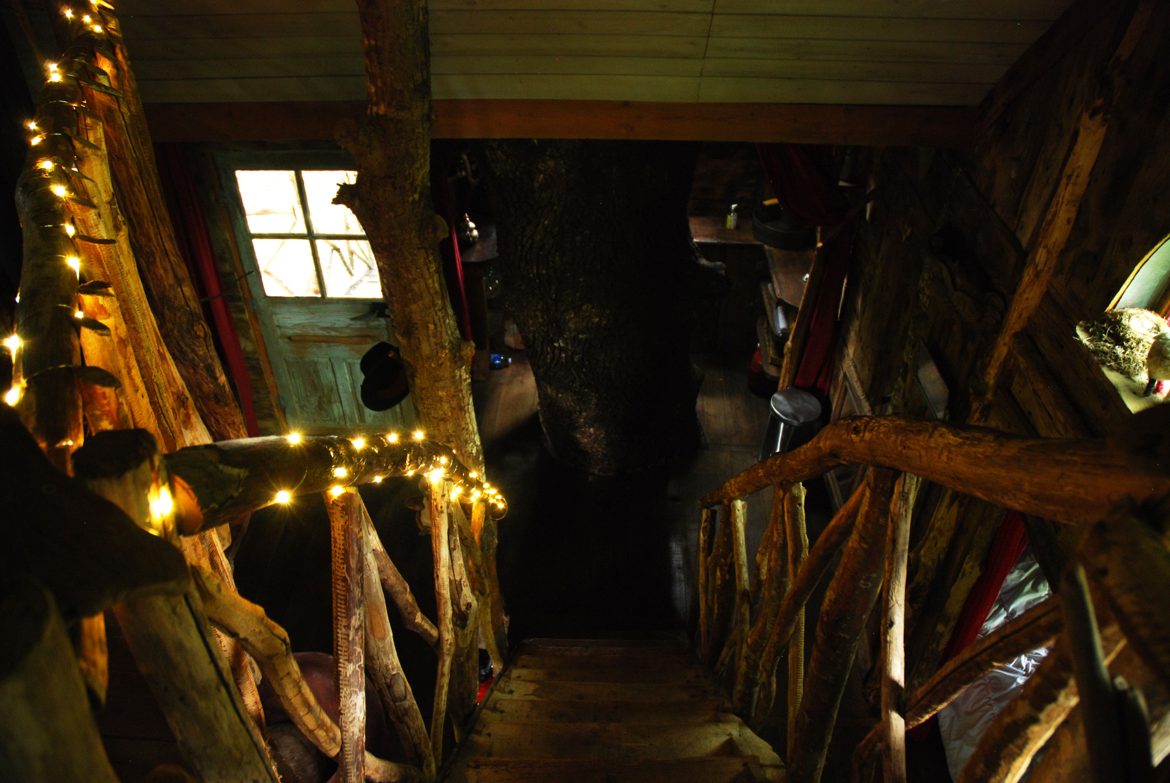 La cabane Margo — Cabane dans les arbres avec spa à Sexcles (Corrèze) à Sexcles — détail architectural