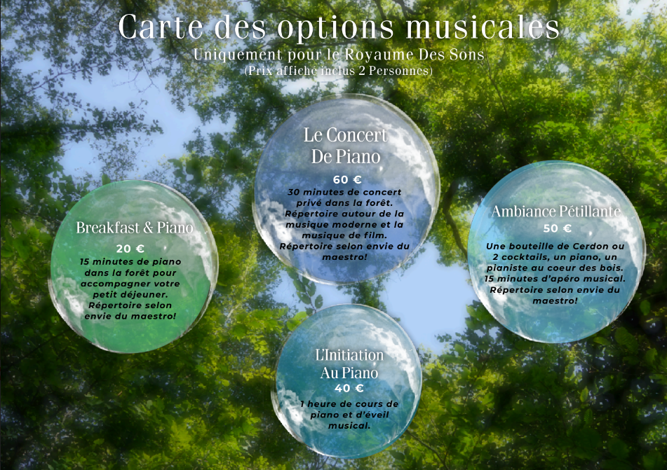 Bulle au cœur des bois - Royaume des Textures