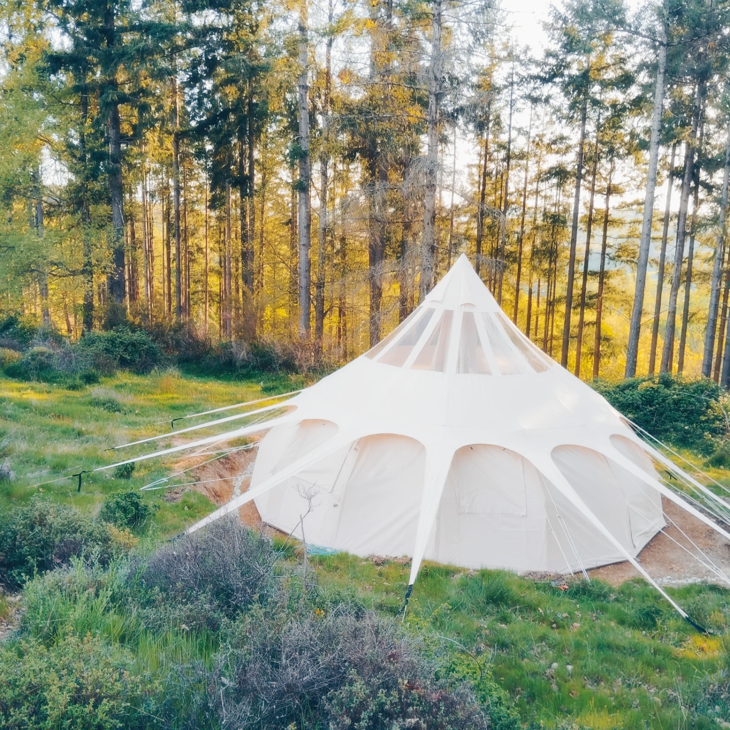 La Ruche : une tente lodge au cœur des Midi-Pyrénées à Busque — chambre