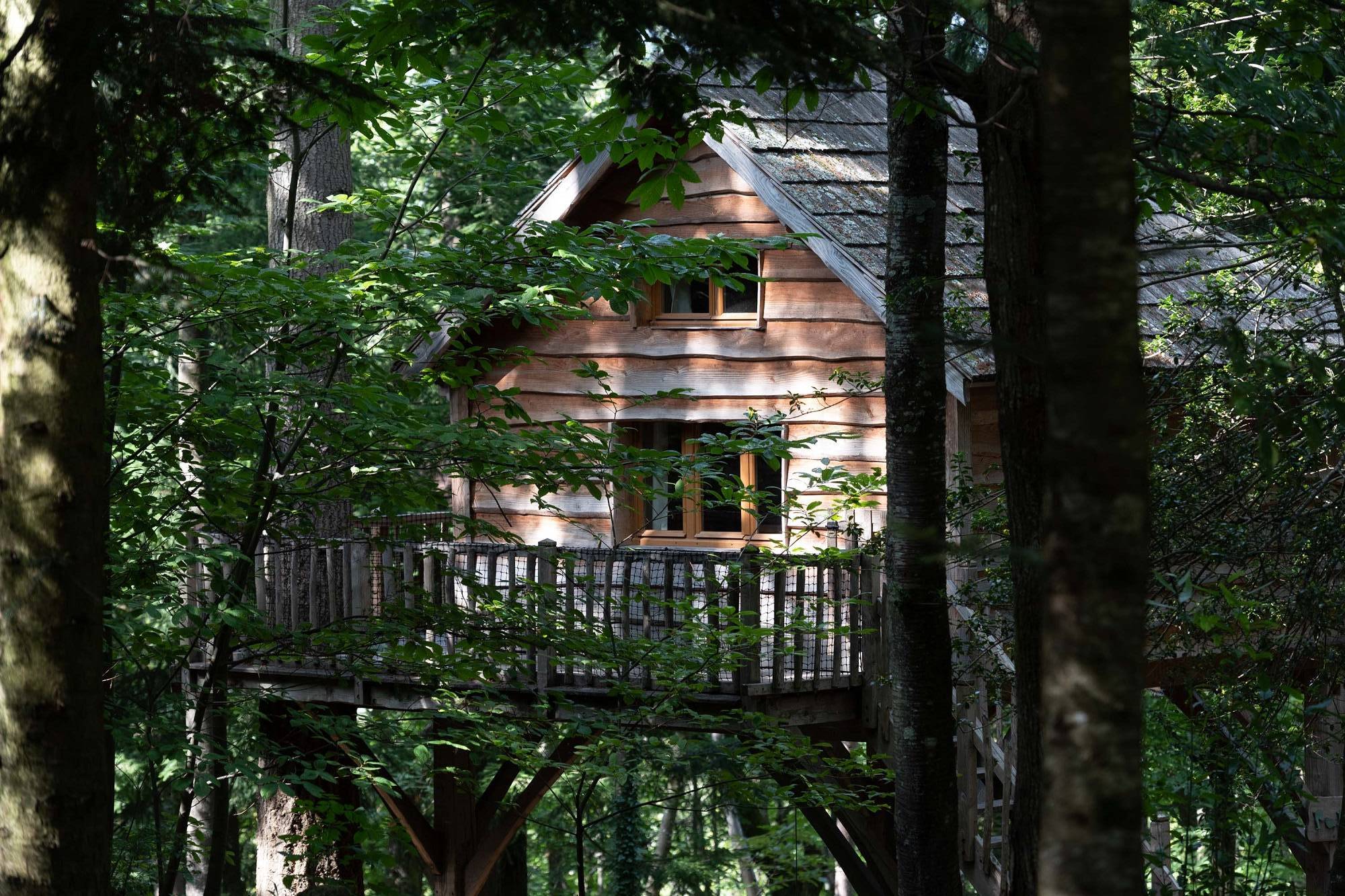 Cabane Panda : une expérience suspendue dans les arbres à Saint-Julien-Labrousse — vue intérieure