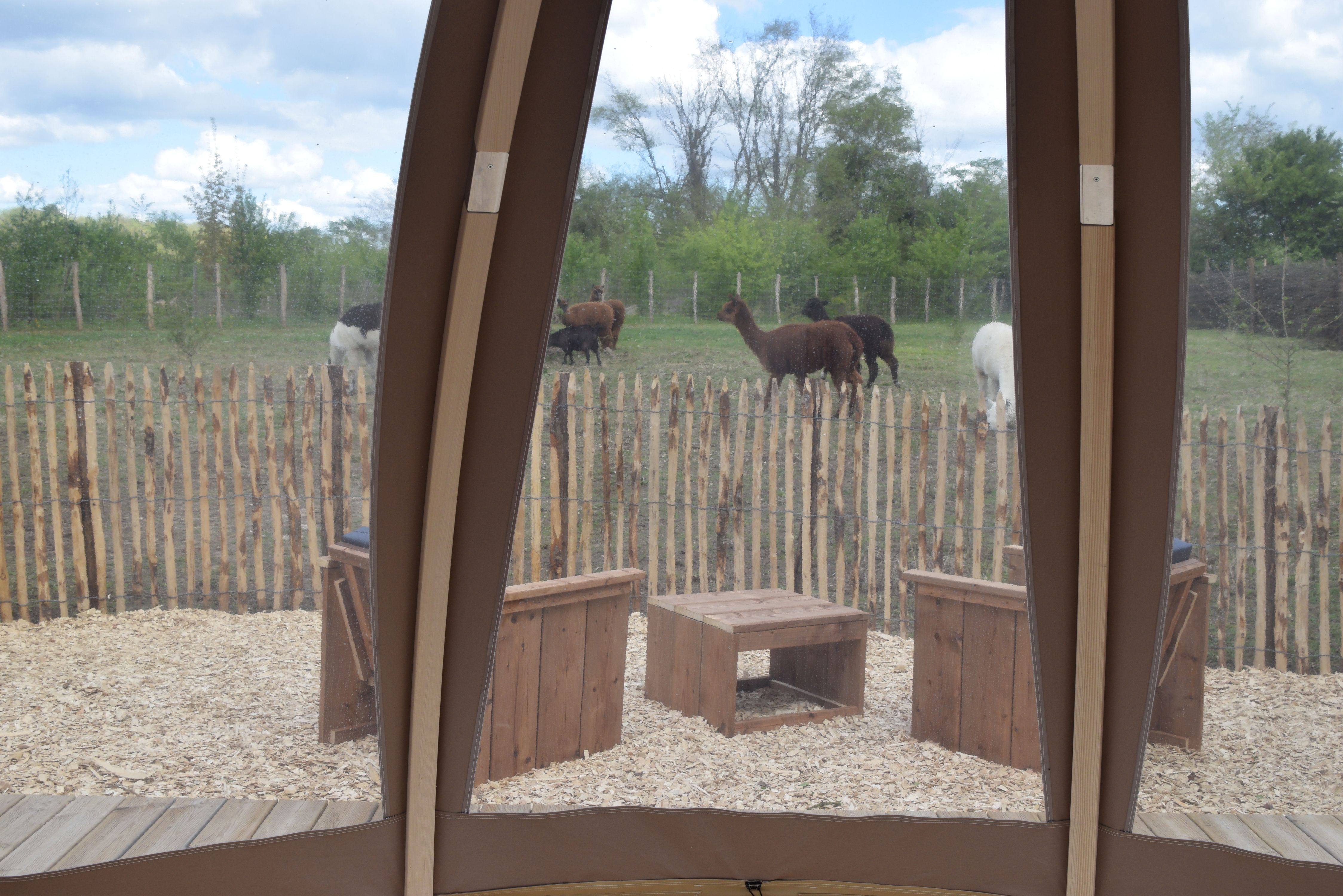 Bulle de nature famille & Spa — Nuit étoilée à Maine-et-Loire à Angers — vue depuis la terrasse