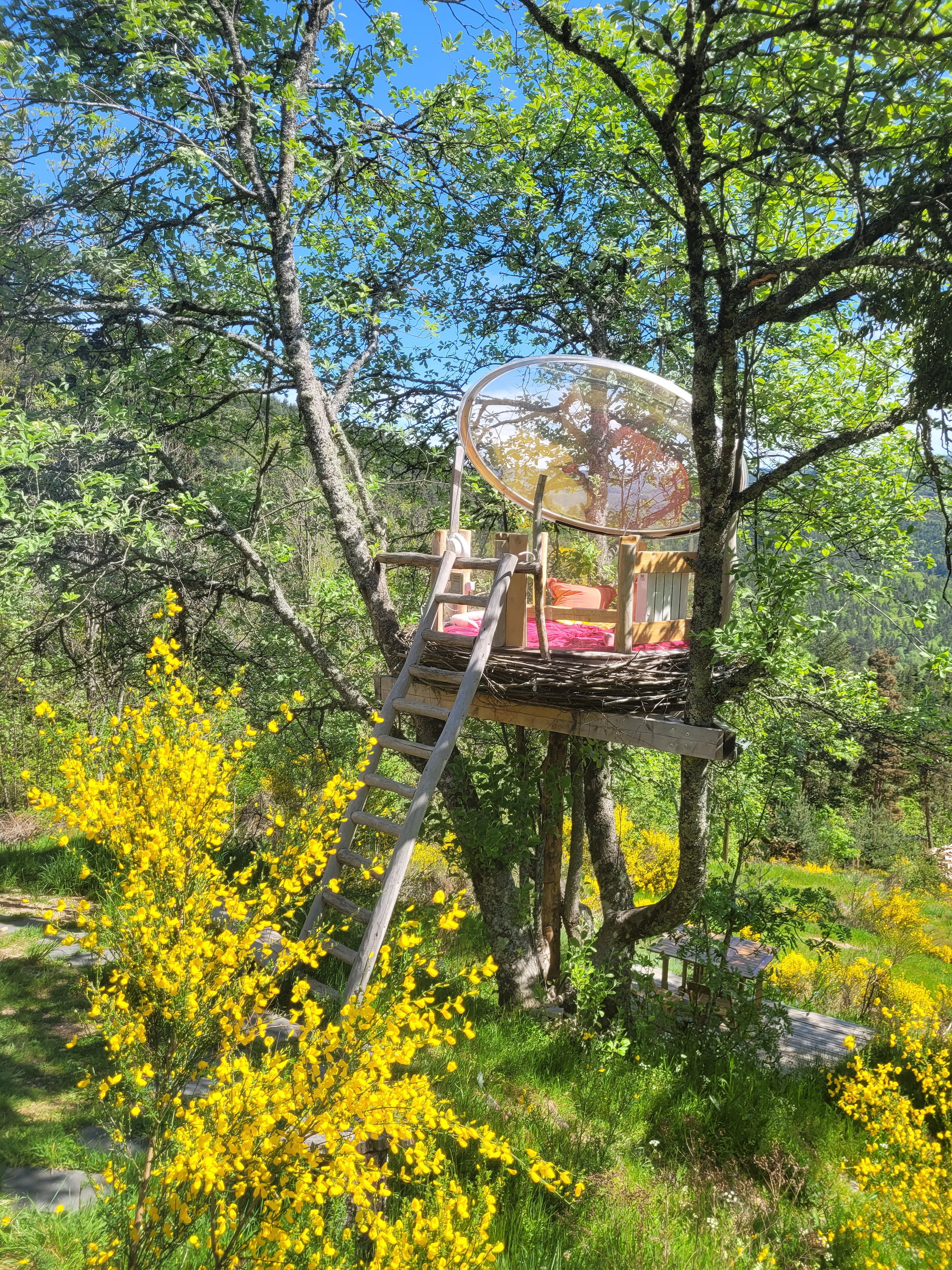 Le Nid : une cabane dans les arbres au cœur de la nature ardéchoise — Cabane à Rochepaule