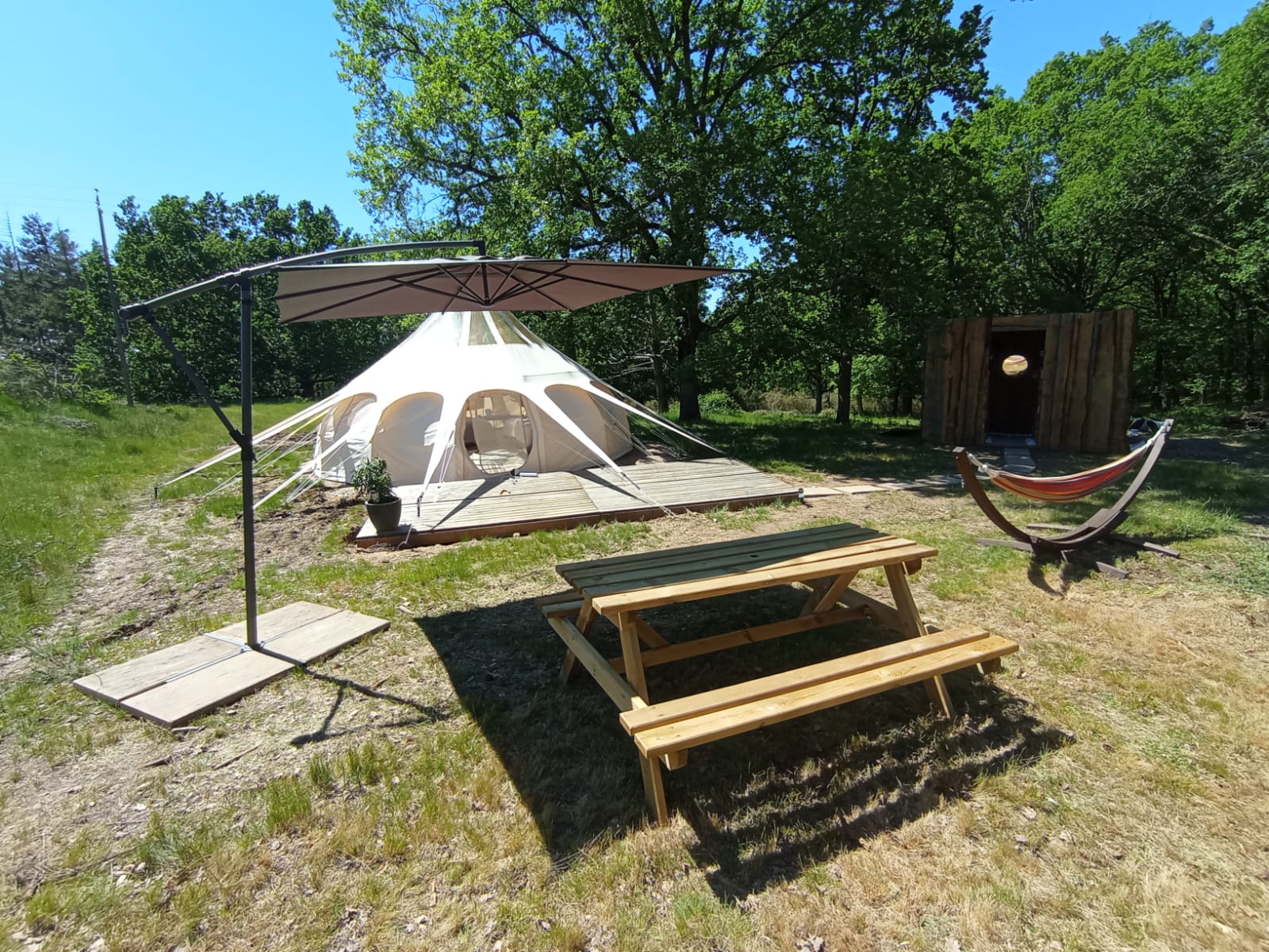 La Canopée : une expérience immersive en pleine nature à Busque — vue depuis la terrasse