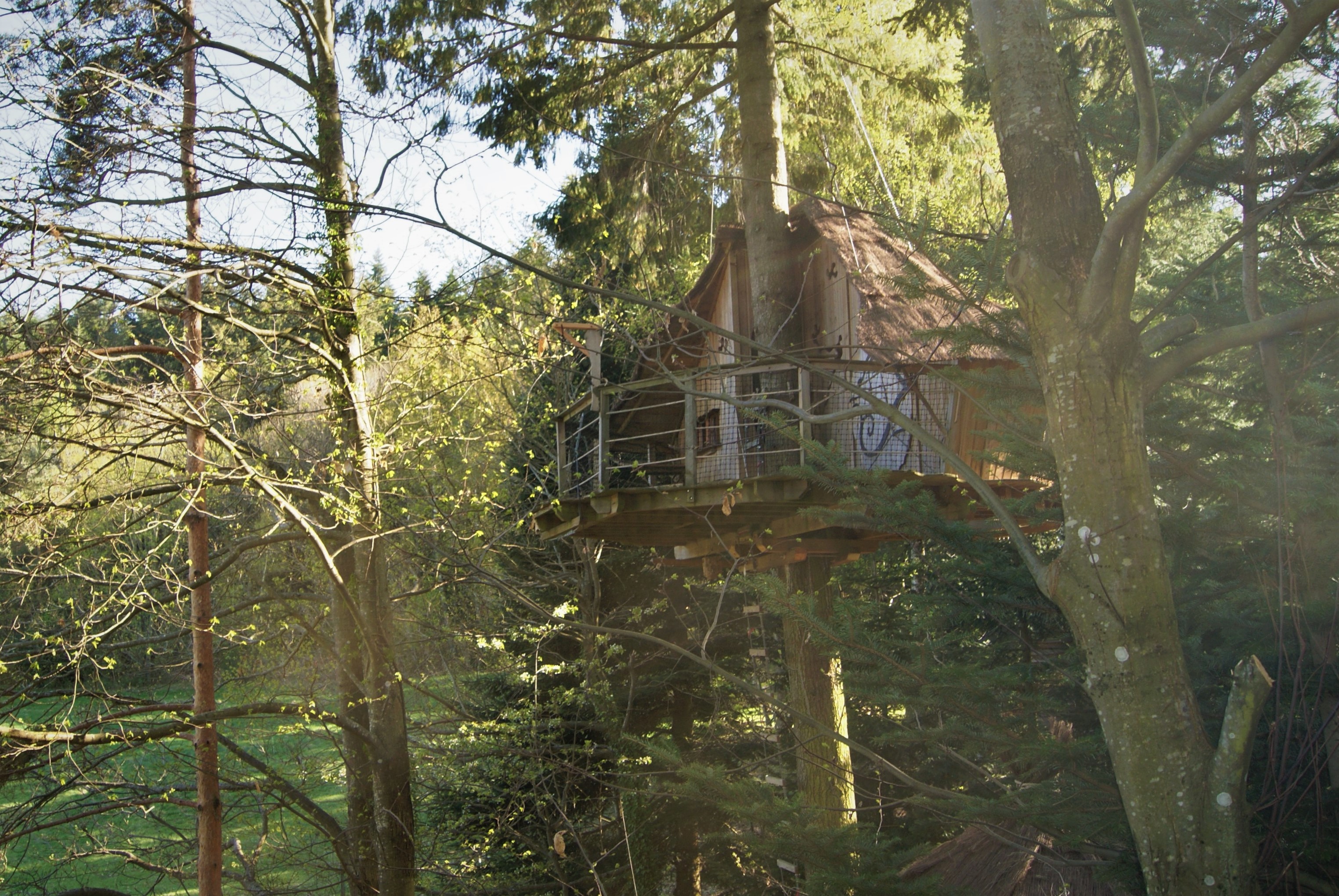 Cabane Ecureuil : une immersion dans les arbres en Rhône-Alpes