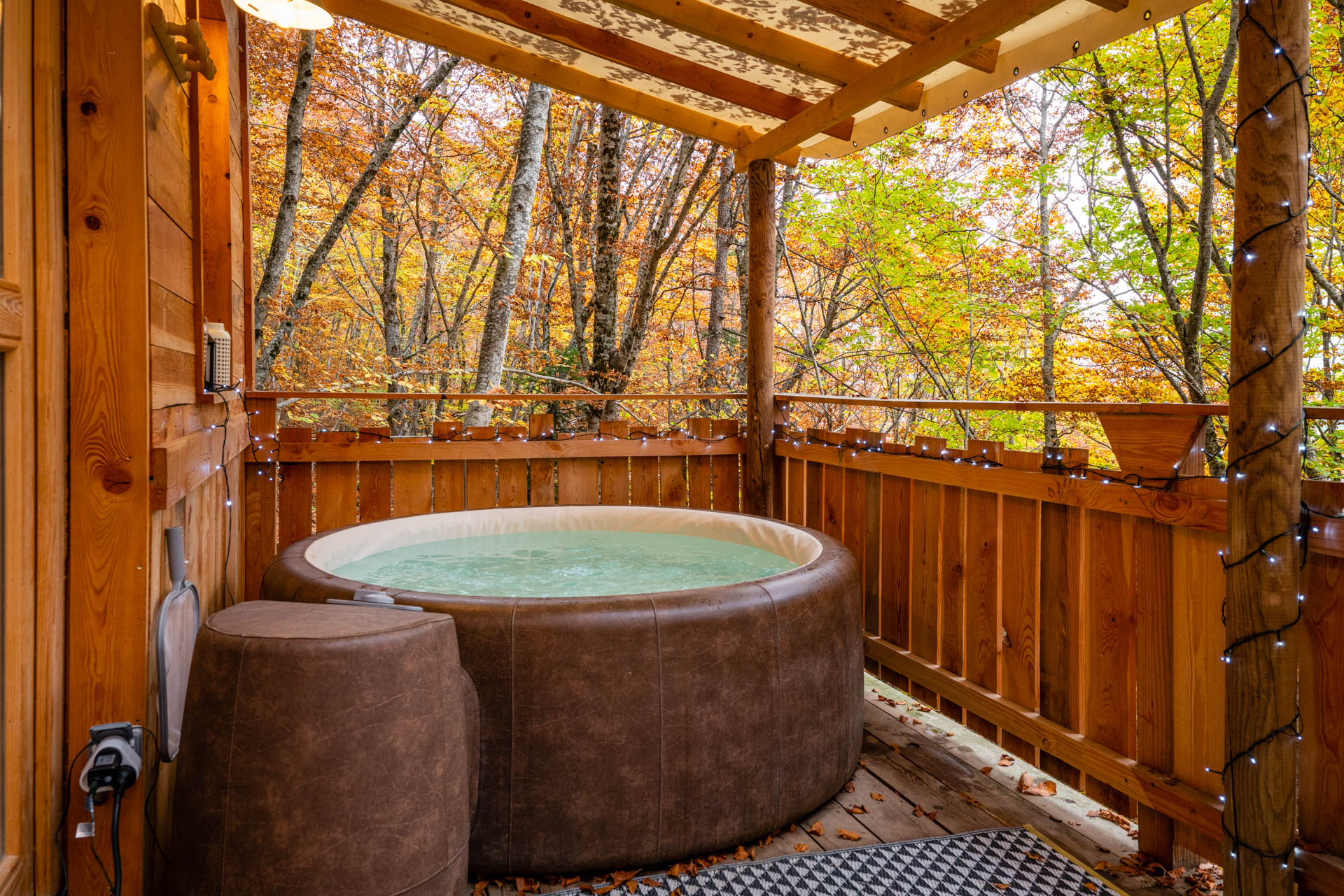 Cabane des Sylphes & Spa — Cabane sur pilotis avec spa à Saint-Léger (Hautes-Alpes) à Saint-Léger-les-Mélèzes — vue depuis la terrasse