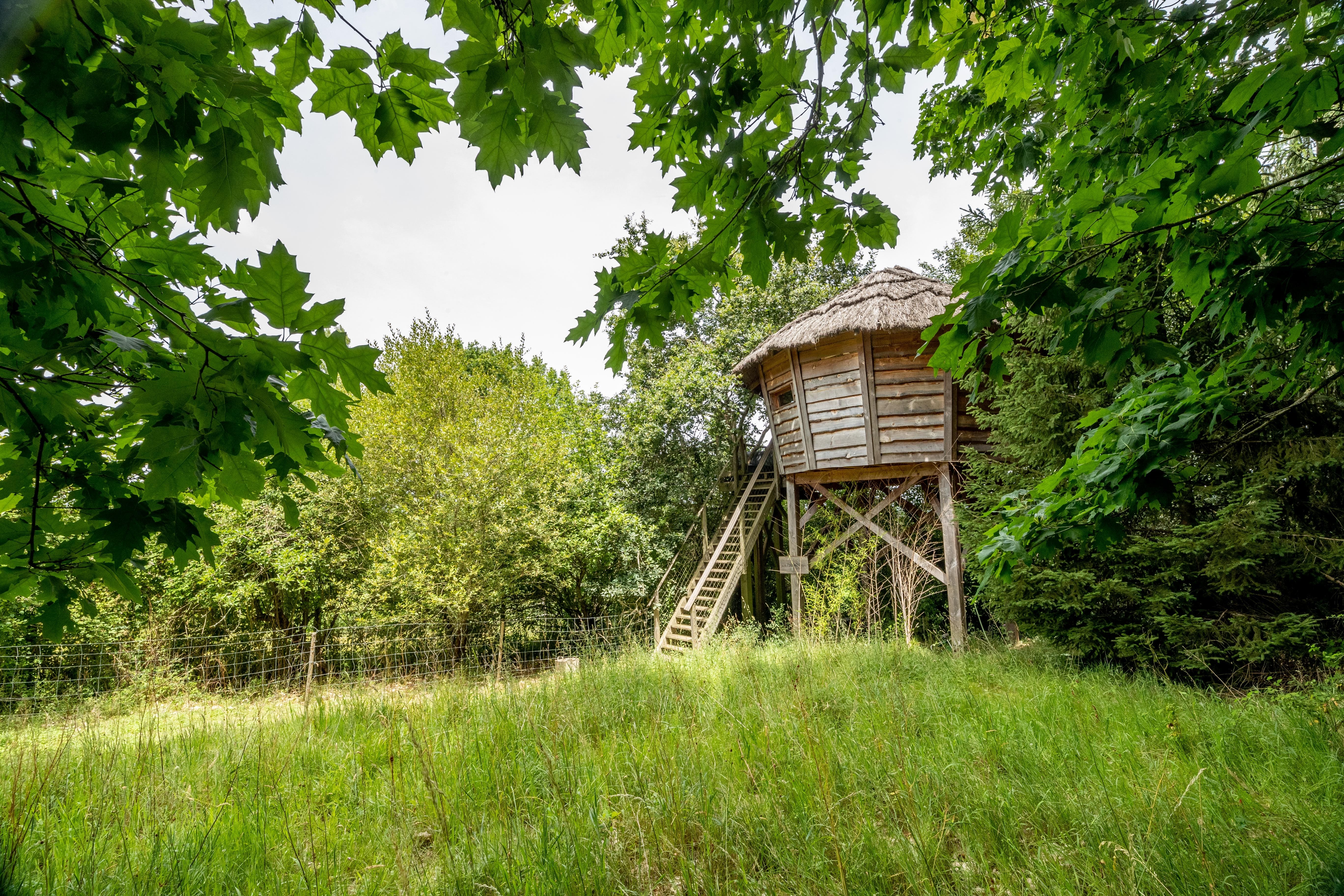La Palombière : une cabane dans les arbres au cœur des Midi-Pyrénées à Saint-Griède — vue intérieure