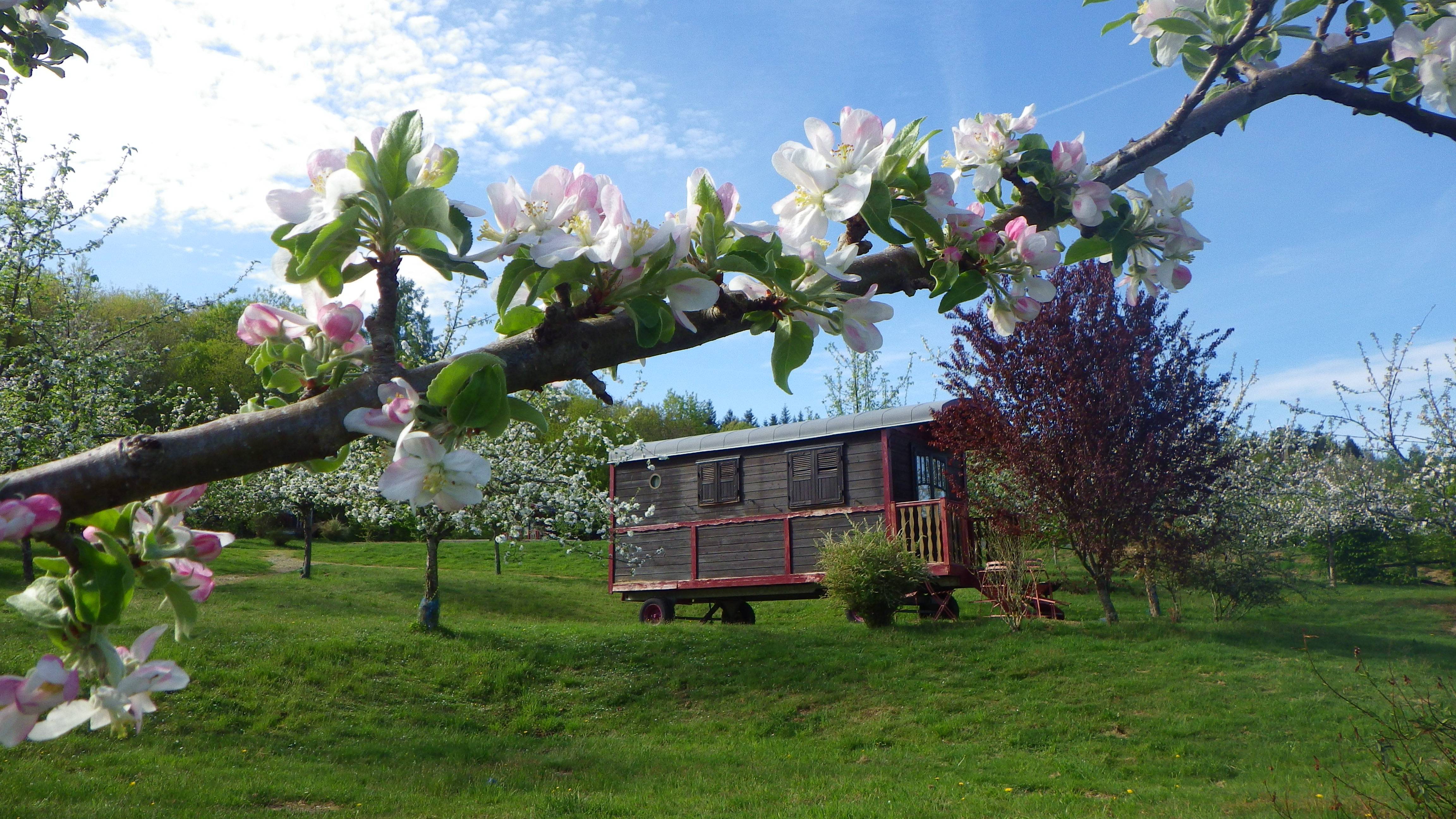 Évasion en roulotte familiale au cœur du Limousin à Chamberet — espace de vie