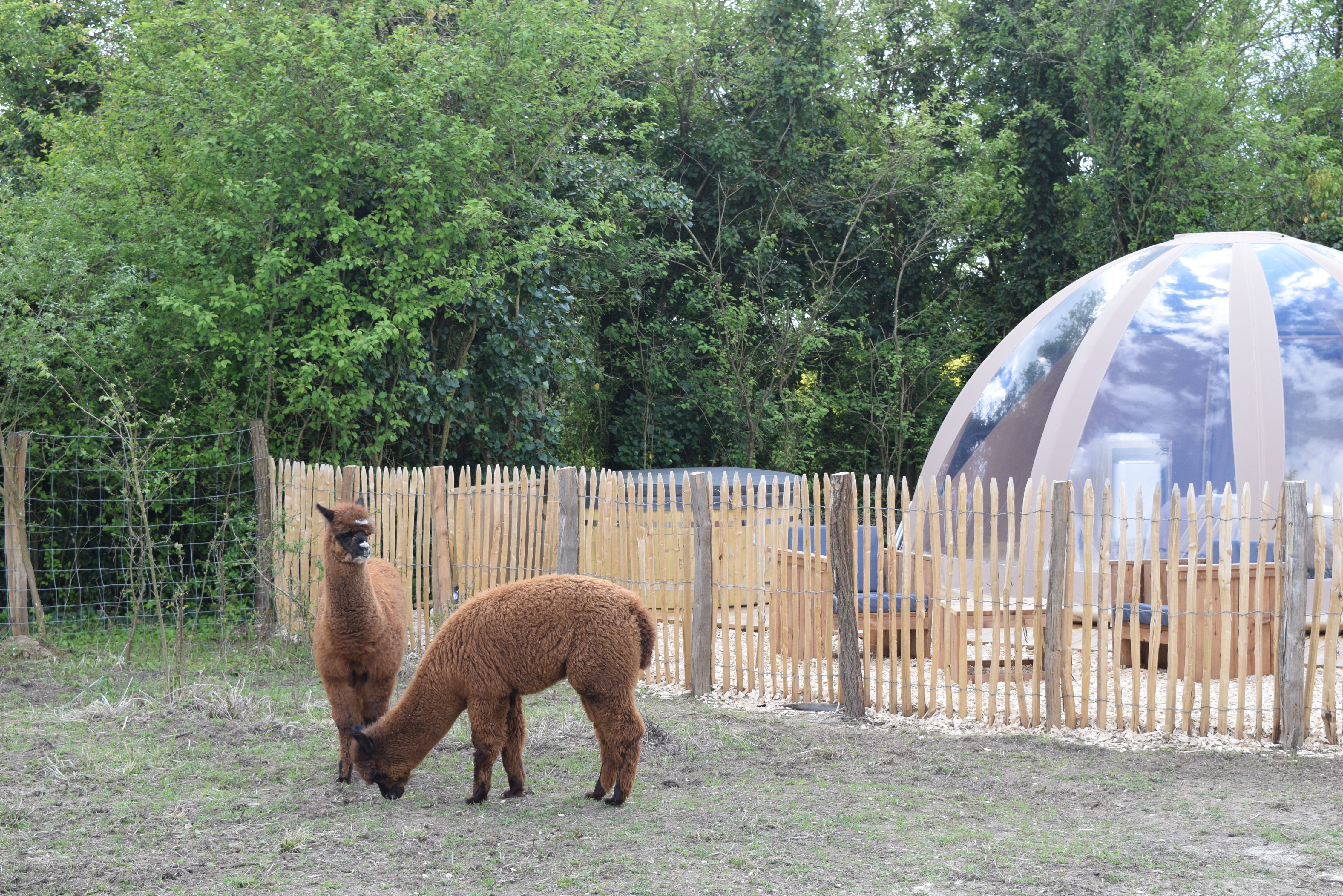 Bulle de Nature & Spa