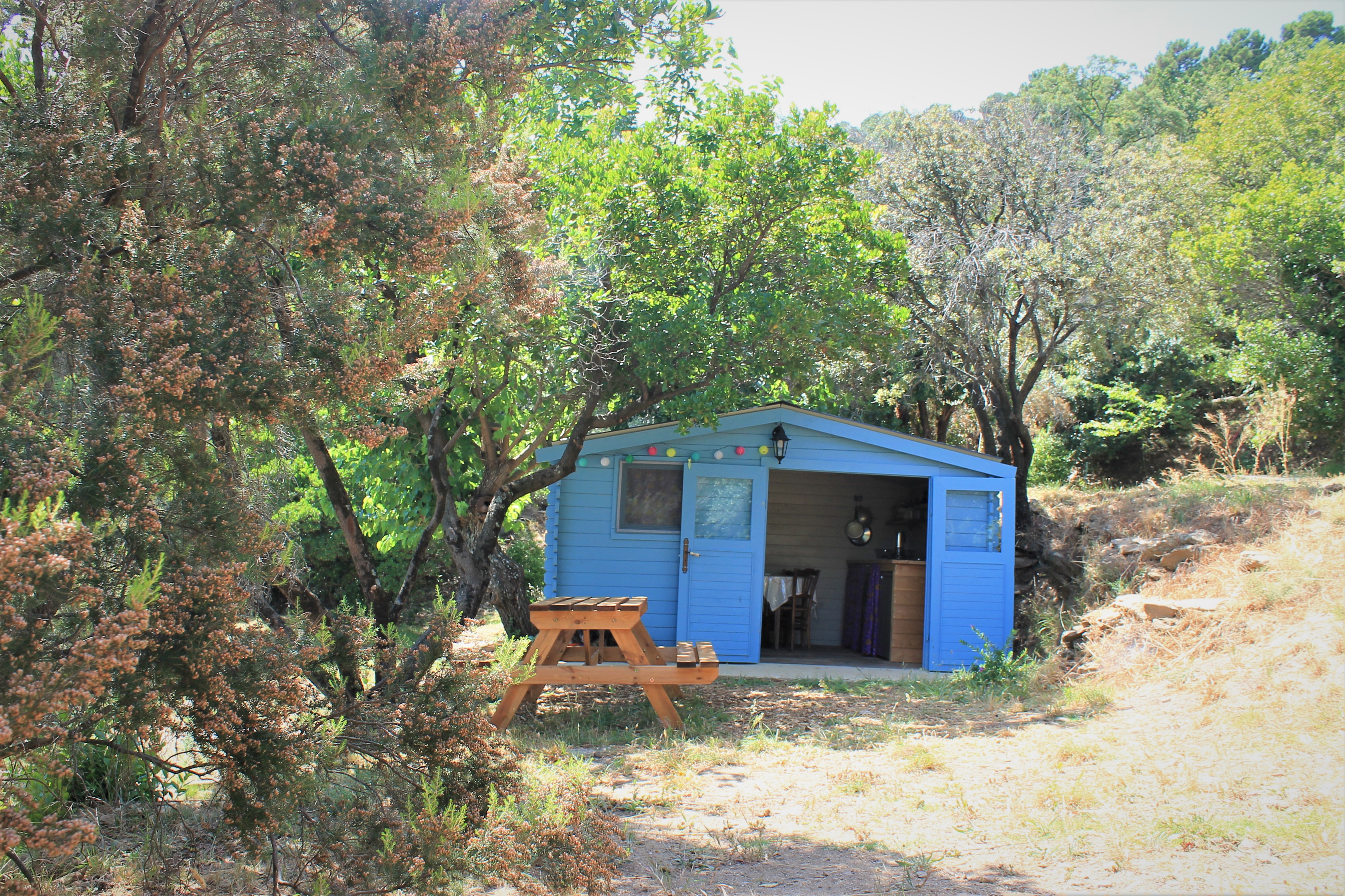 La Roulotte Verte — Nuit cocooning avec spa à La ferme Blandine à La Valette-du-Var — environnement naturel