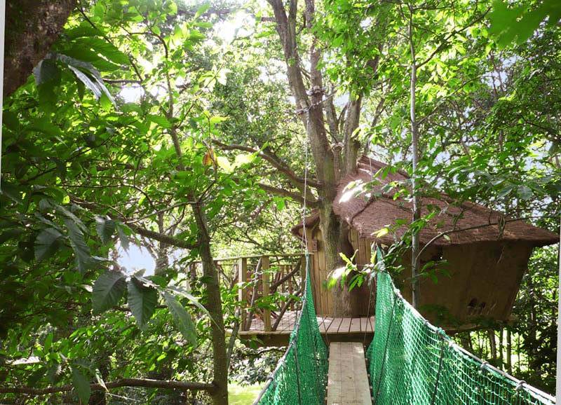 Cabane des Elfes : une escapade enchantée dans les arbres à La Chapelle Chaussée — vue intérieure