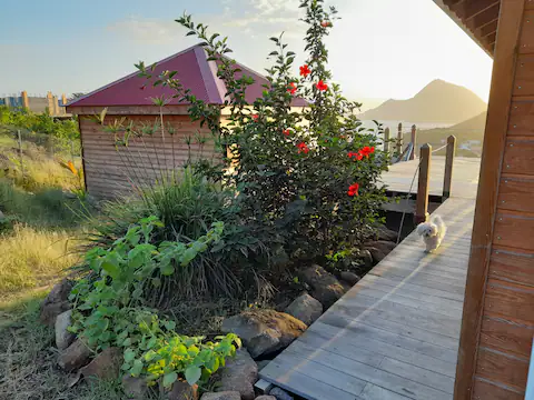 Ti Kaz Anoli : une cabane au cœur de la Guadeloupe à Terre-De-Bas — vue intérieure