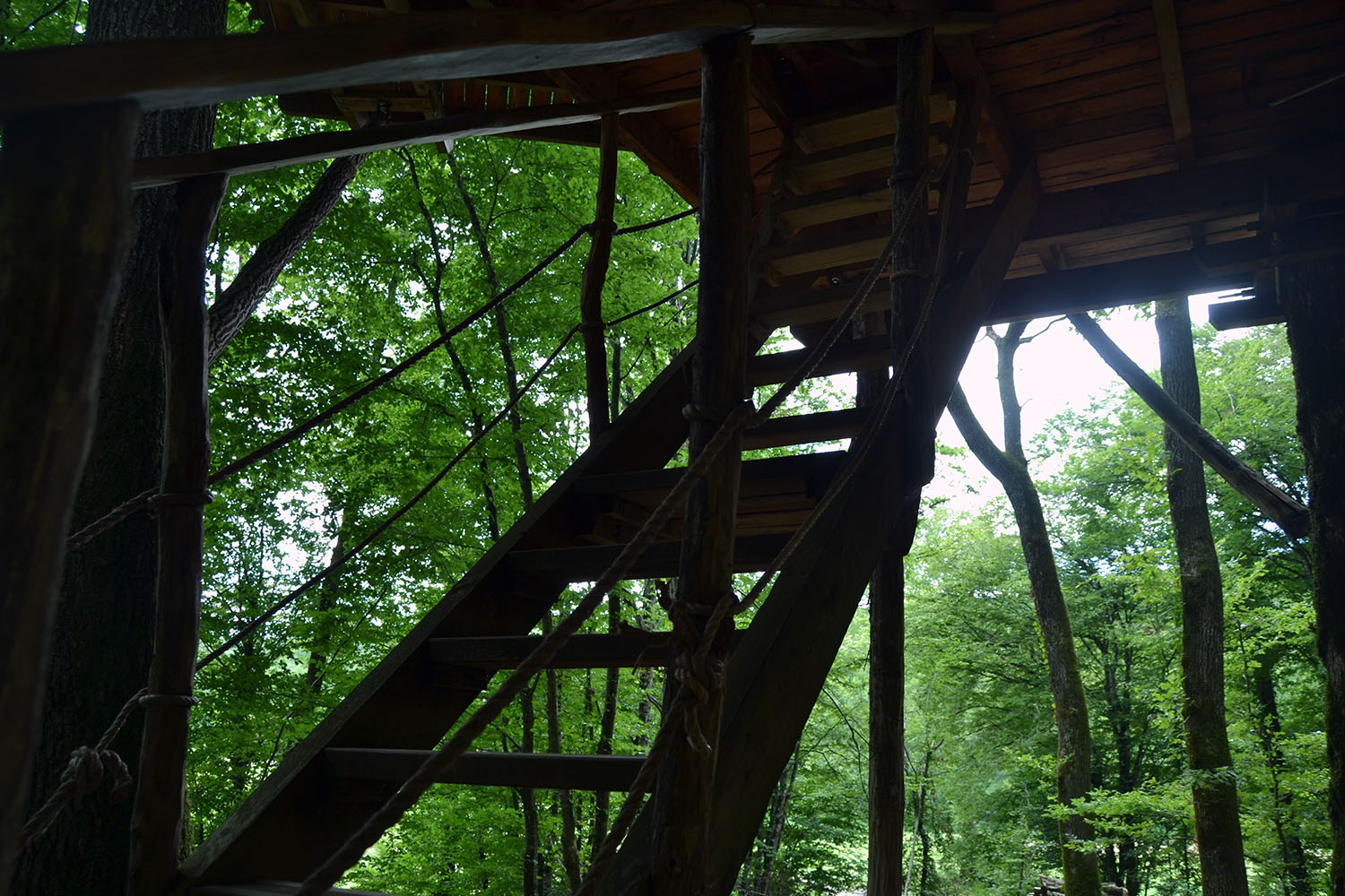 Cabane Mandubienne : une expérience suspendue dans les arbres à Ranchot — chambre