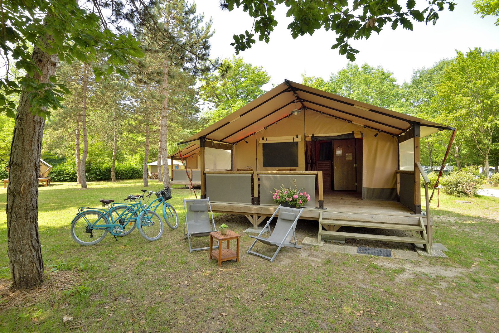 Lodge Victoria de la Vallée : une expérience immersive en pleine nature