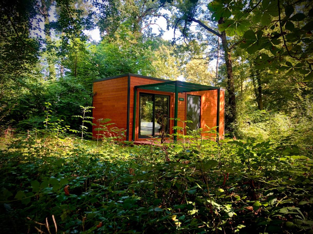 Les Lodges de Vaugrigneuse — Cabane avec spa à Vaugrigneuse