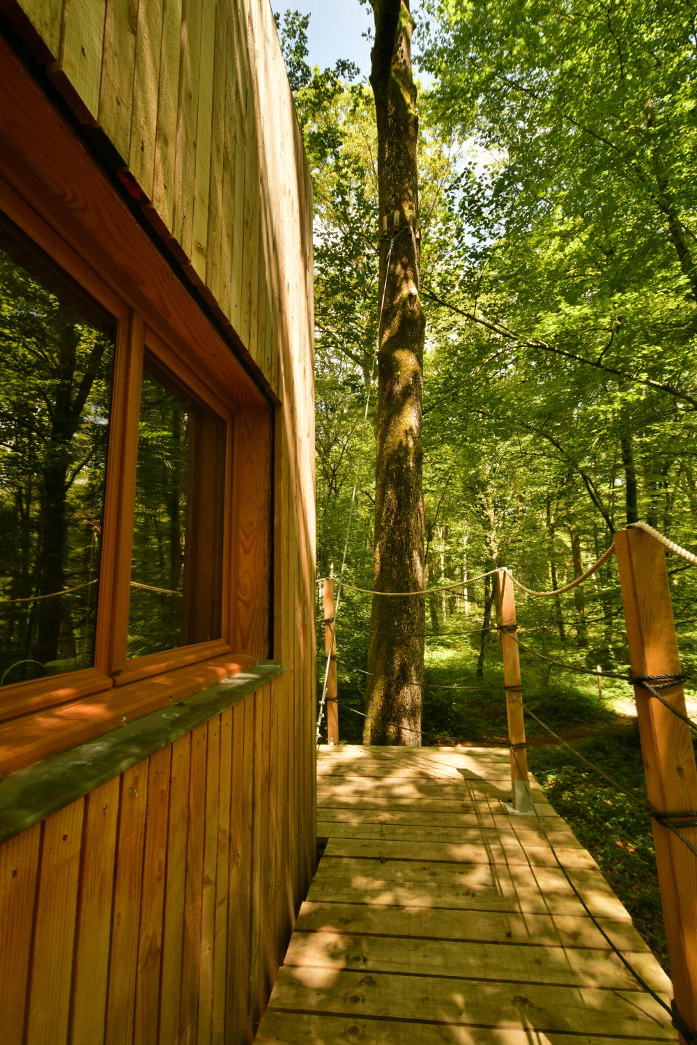 La Cabane Refuge : une évasion dans les arbres en Franche-Comté à Mont Sous Vaudrey — chambre