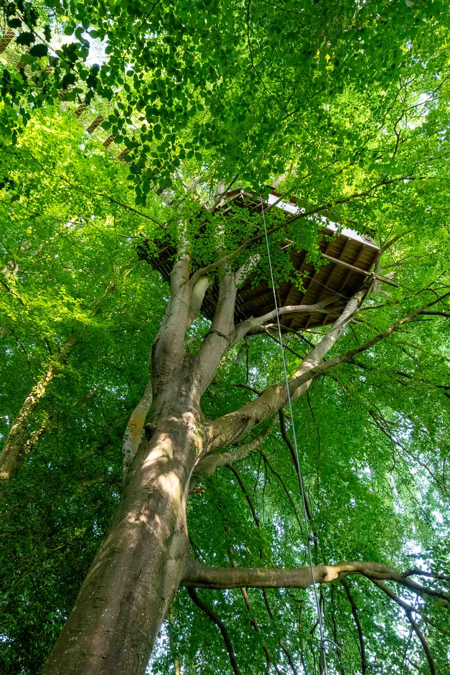 Cabane Mésange — Nuit perchée à 17m dans les arbres en Calvados à Noues de Sienne — vue intérieure