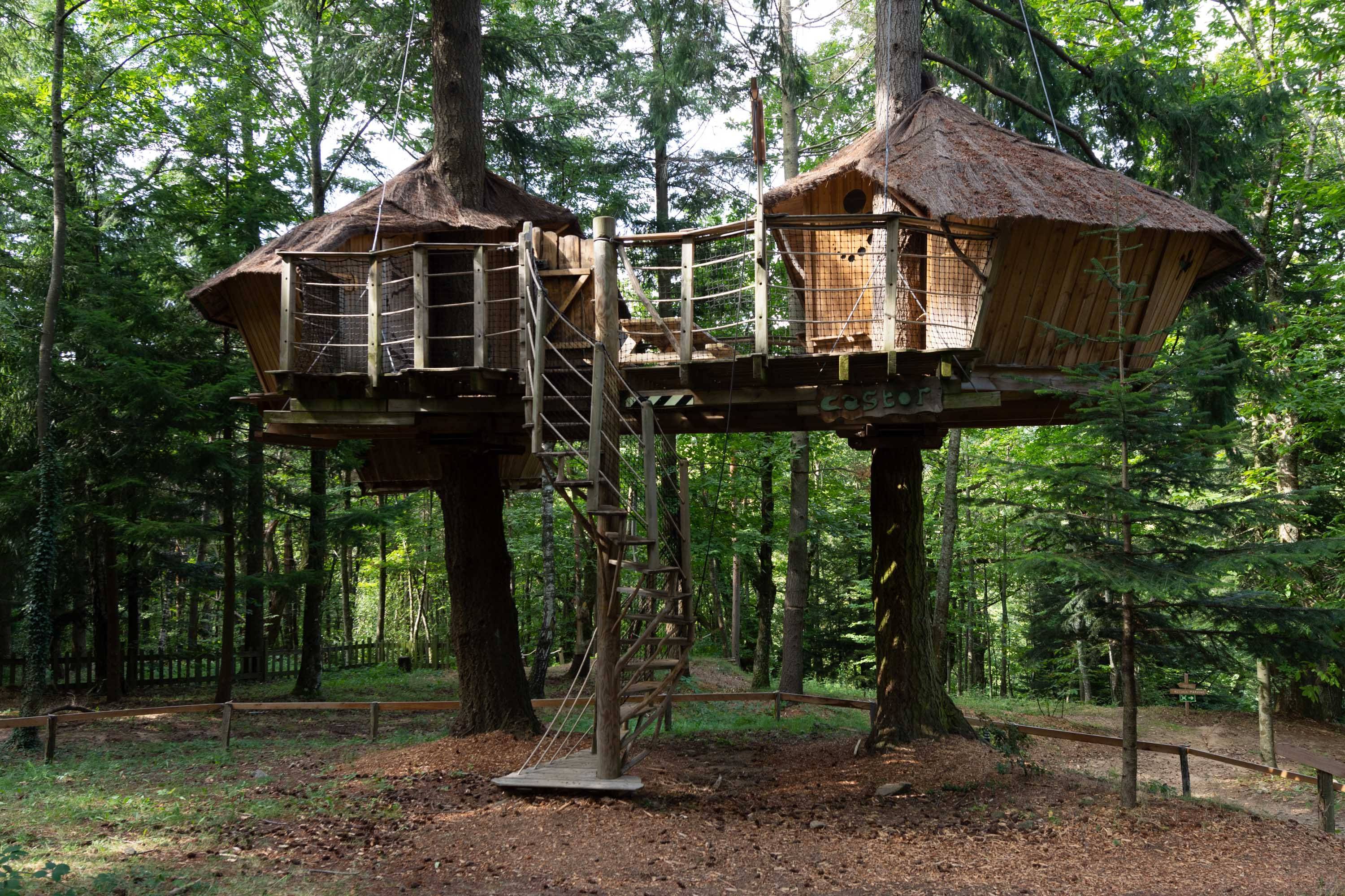 Cabane Castor : une expérience unique dans les arbres