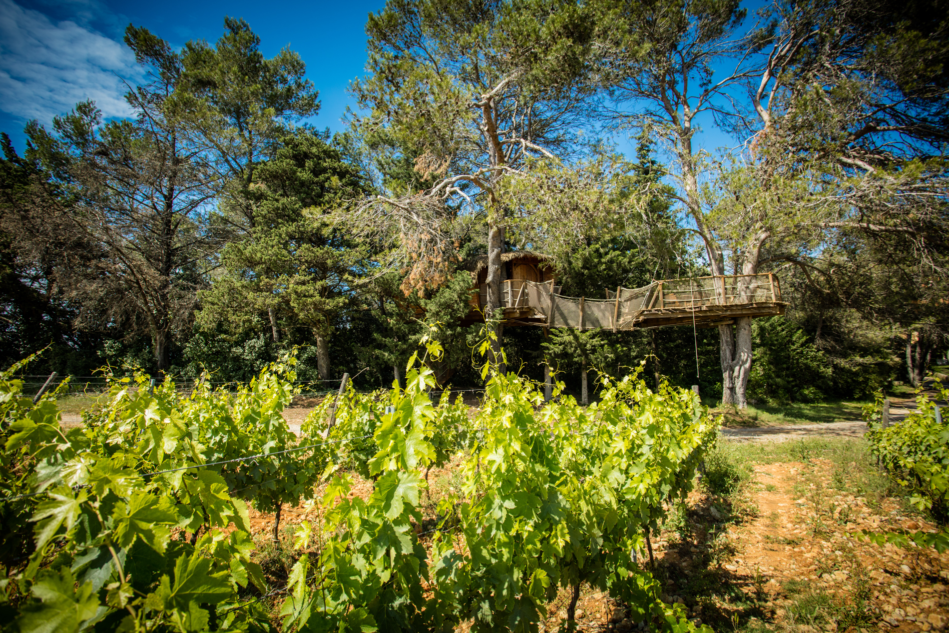 Rollier : une cabane dans les arbres au cœur de l'Occitanie à Castries — vue intérieure