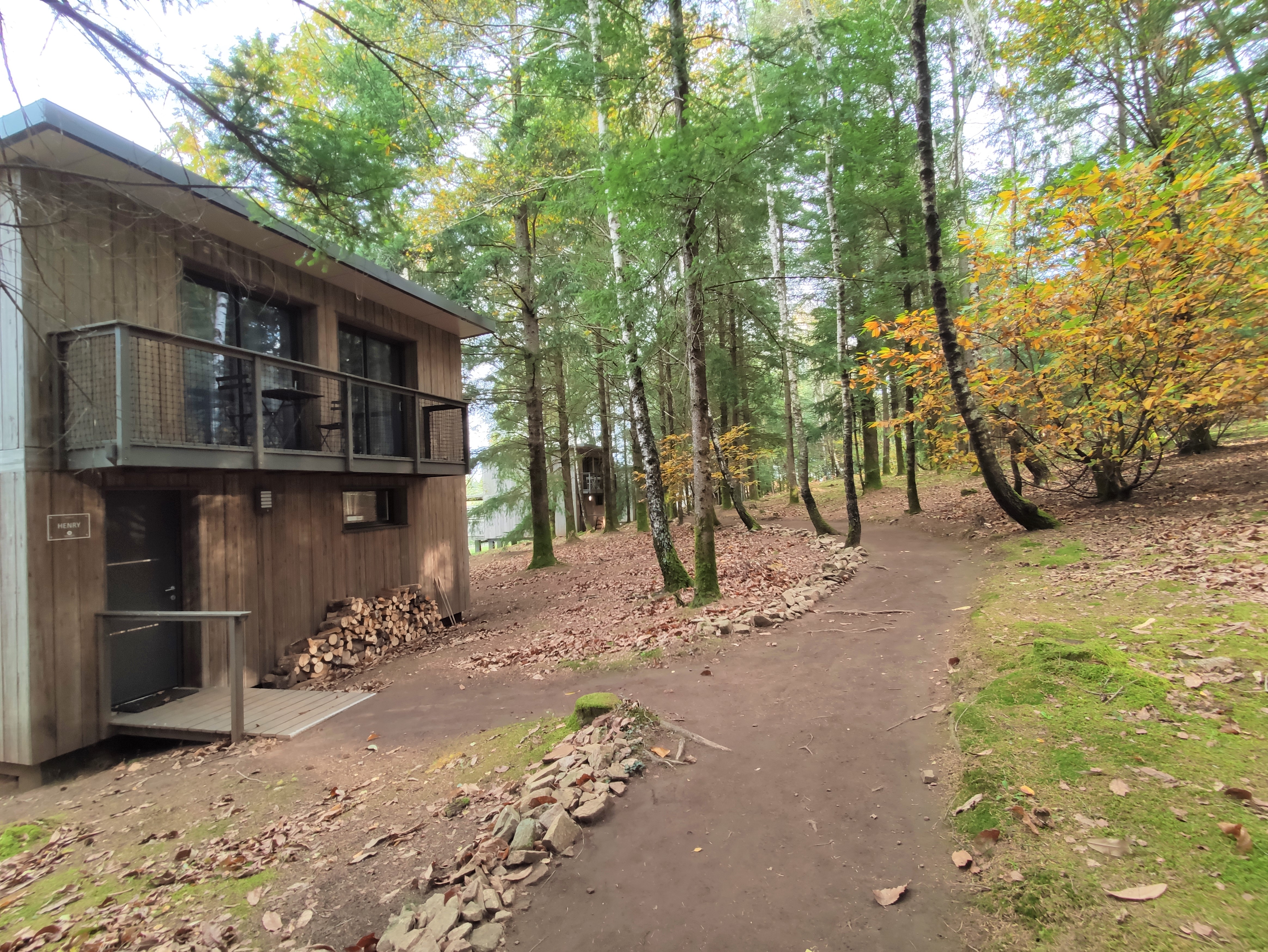 Lodge Spa Henry : une immersion dans la nature limousine à Palazinges — environnement naturel