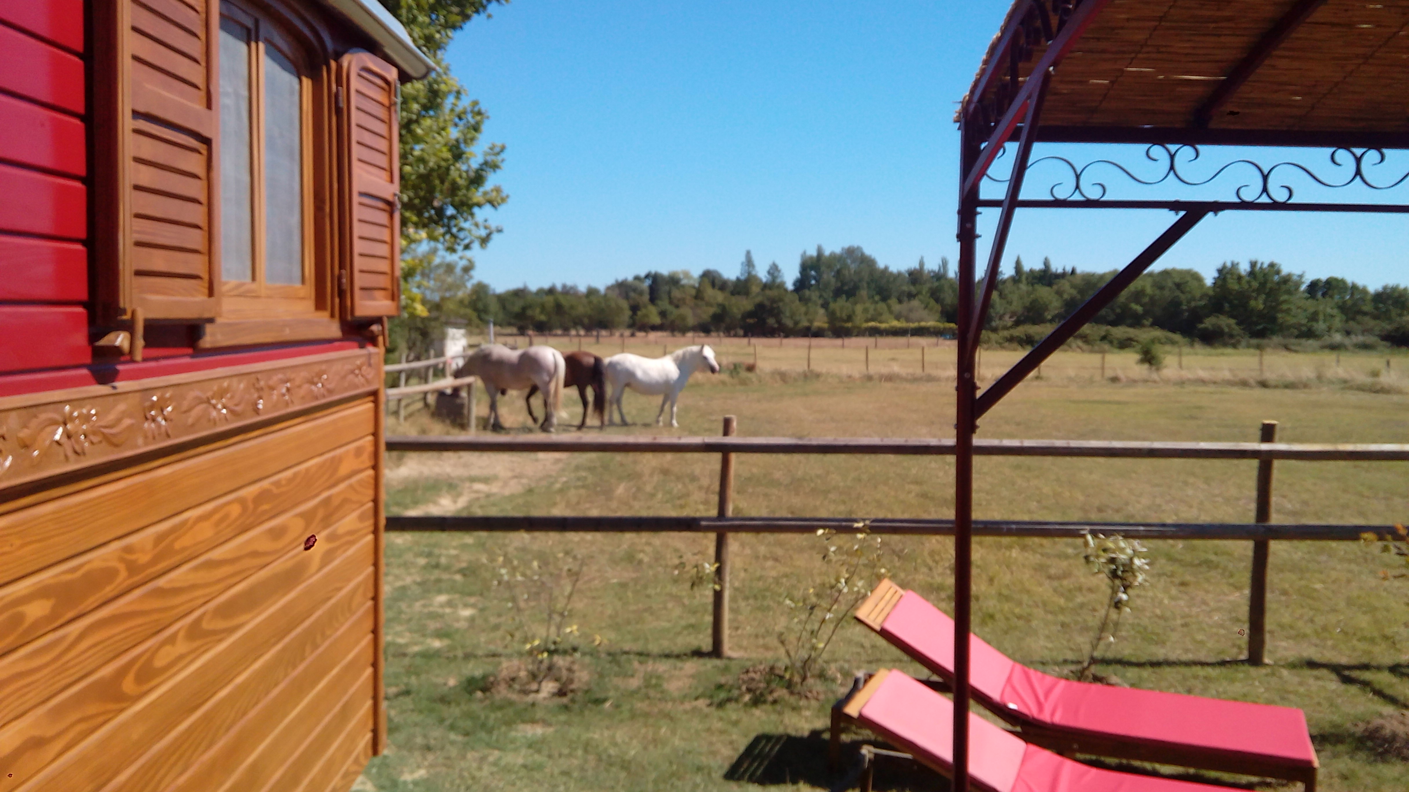 La Nanou'che : une roulotte au cœur de la Camargue à Le Cailar — chambre
