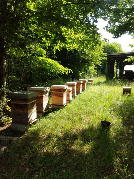 La Cabane des Nids en Périgord — Nuit perchée avec spa à 7m en Dordogne à Périgueux — environnement naturel