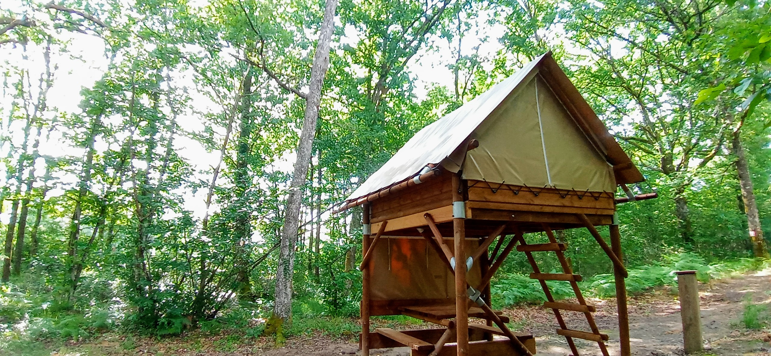 Tente Moonrise — Nuit en hauteur à 8m en Dordogne à Coursac — vue intérieure