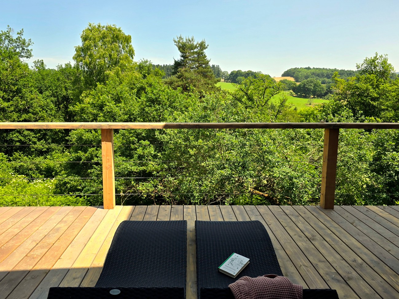 Cabane Petite Ourse & Spa : une évasion en hauteur à Cunlhat — vue depuis la terrasse