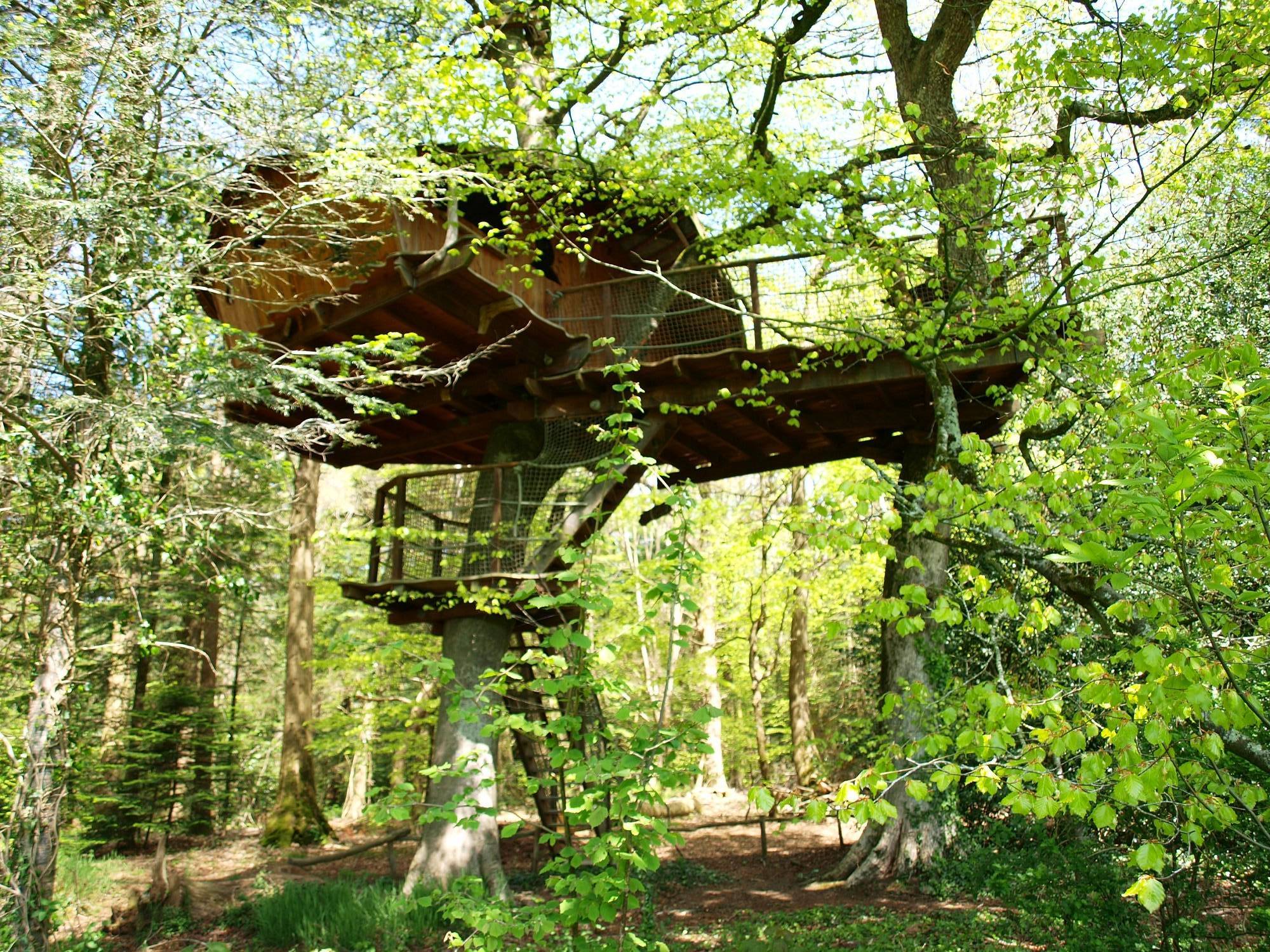 Cabane Jonquille : une évasion perchée en Bretagne à Cléder — espace de vie