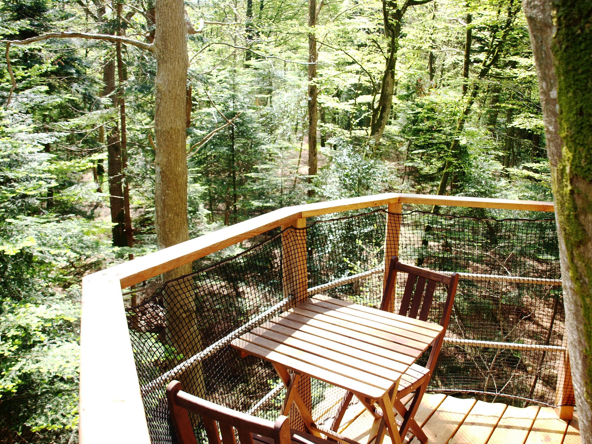 Cabane Nid Clos : une expérience suspendue dans les arbres à Cléder — espace de vie
