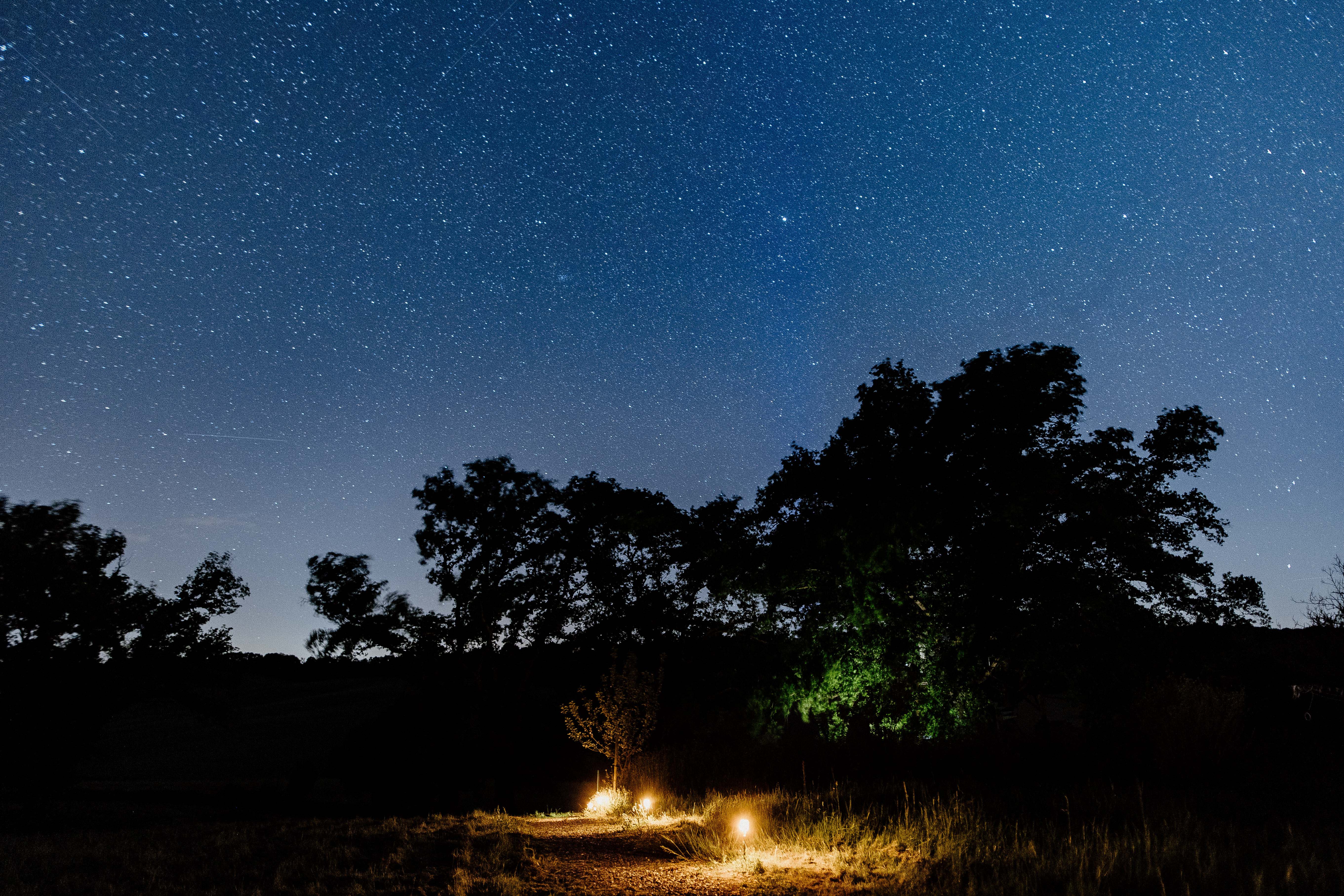 Dôme au cœur des chênes & SPA — Nuit étoilée à Lartigue (Gers) à Lartigue — chambre