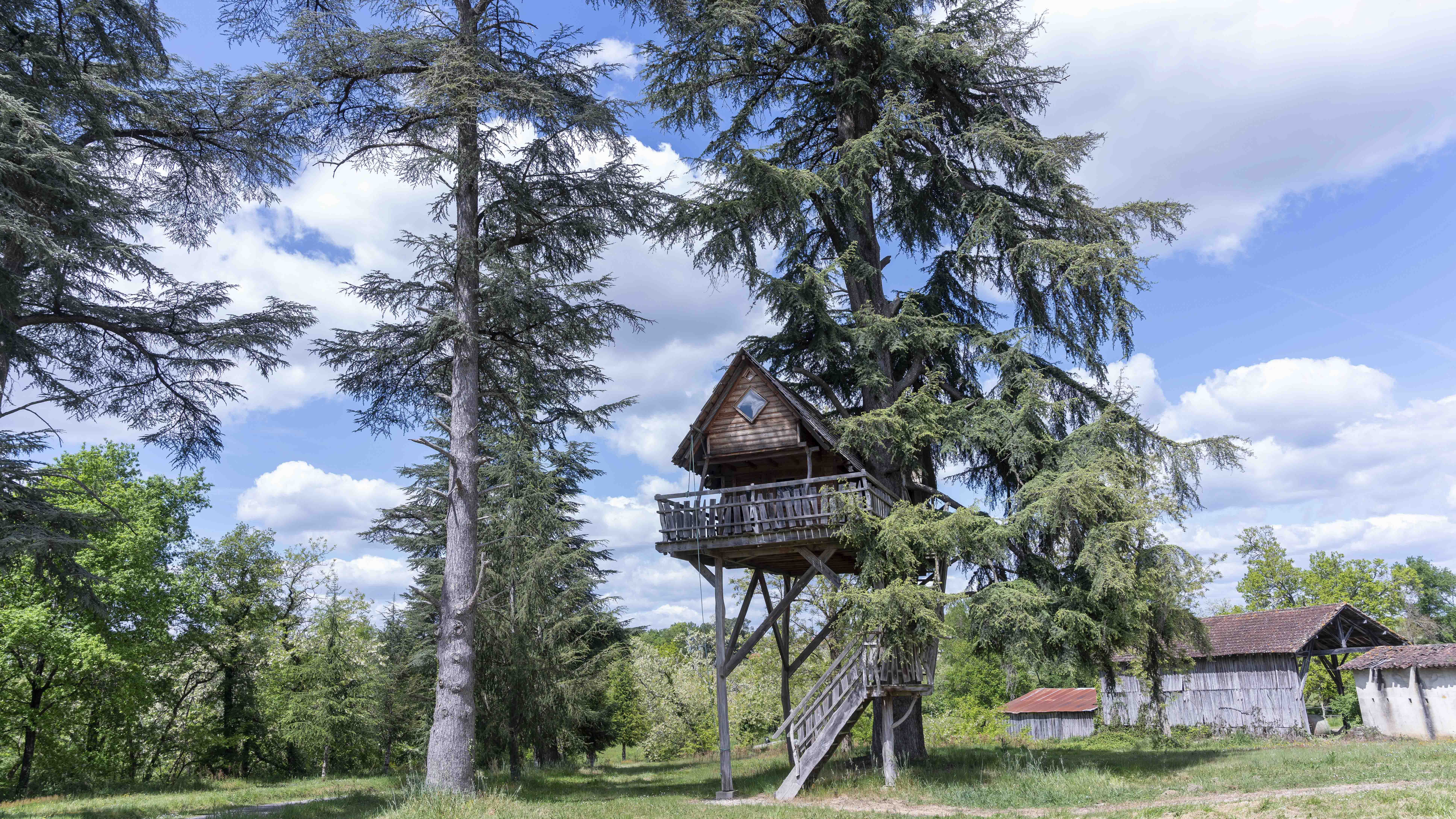 Cabane au Cèdre du Bonheur — Cabane dans les arbres avec vue panoramique à Gers à Riguepeu — chambre