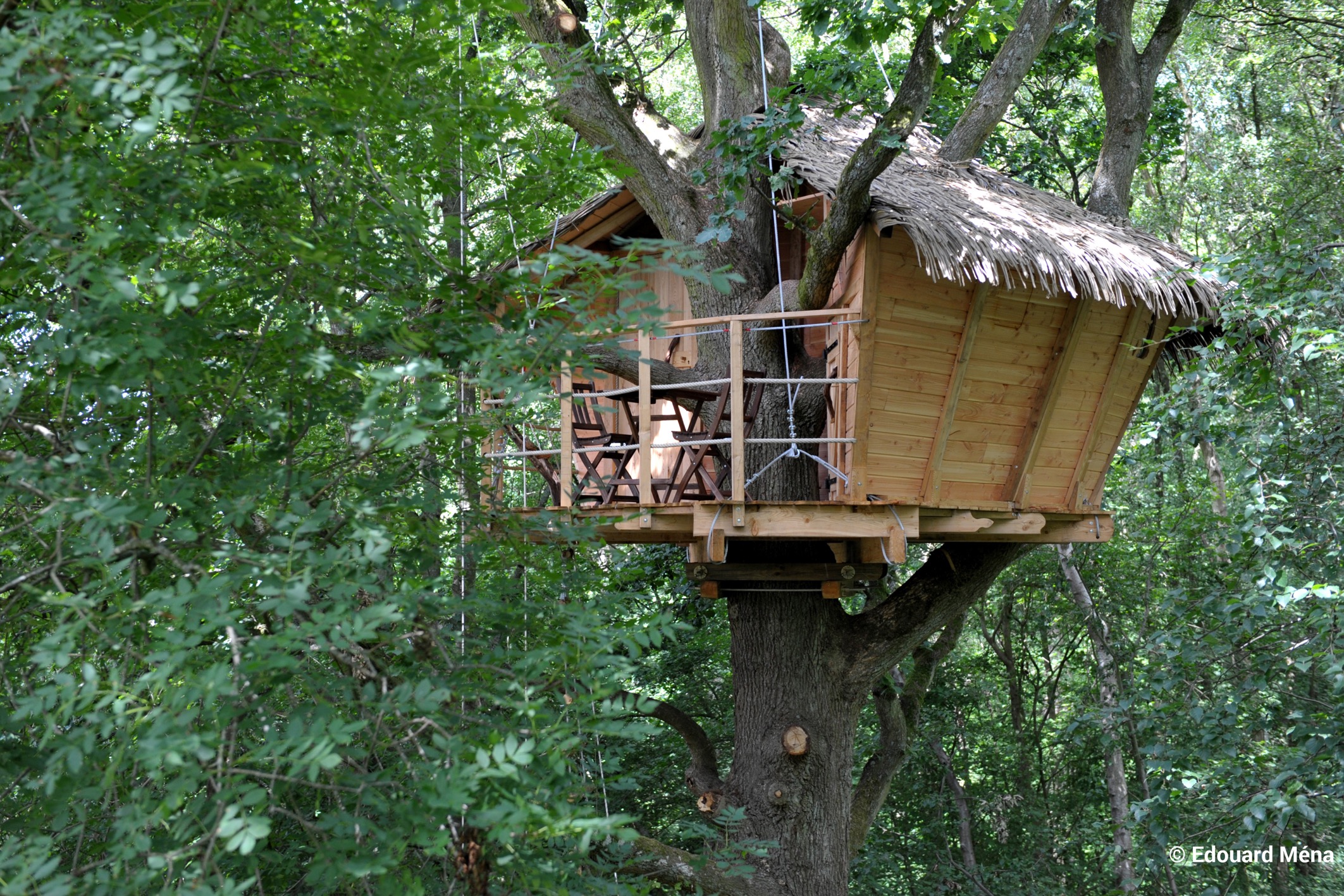 Terriers — Cabane dans les arbres perchée à 10m en Seine-Maritime