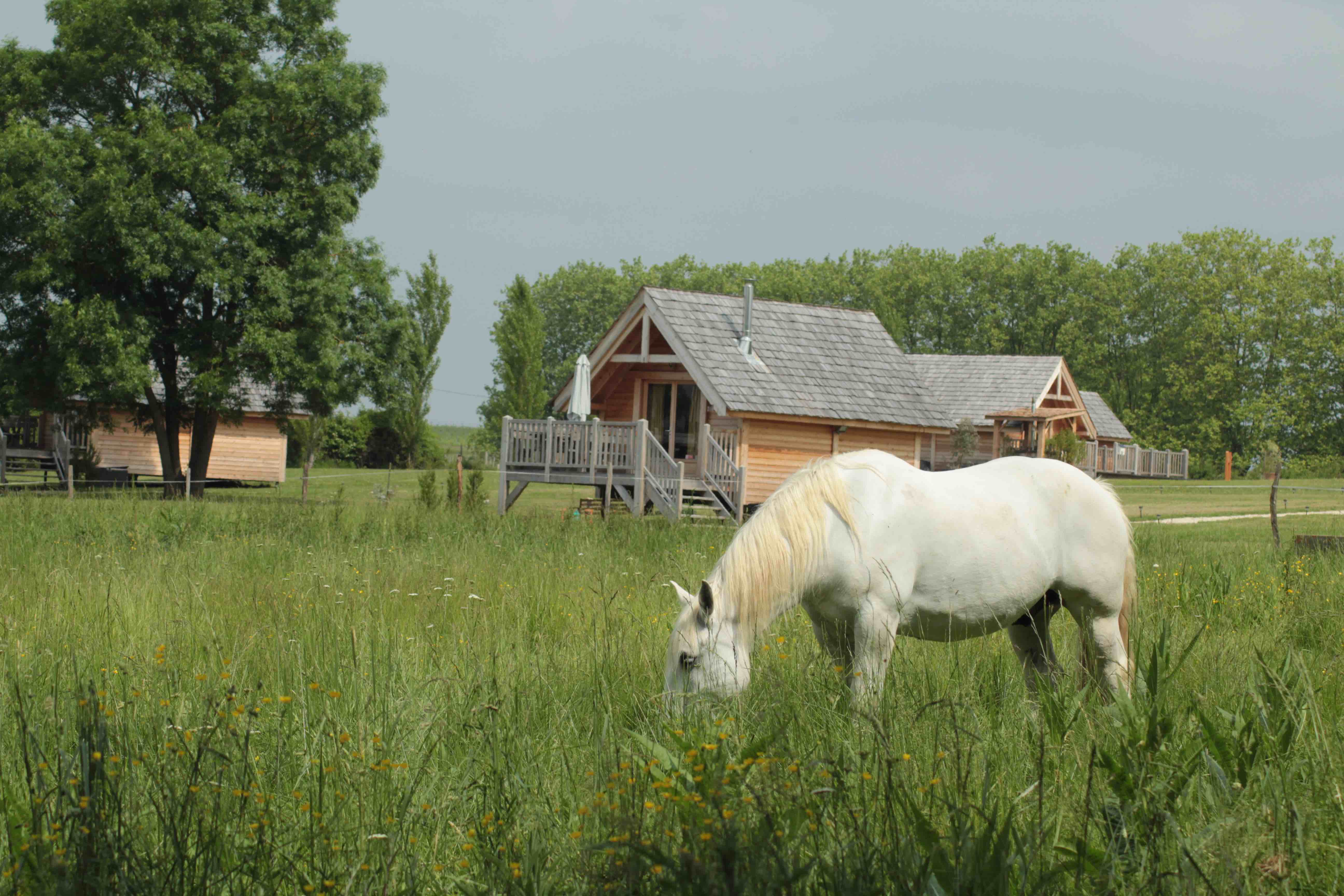 La Cabane Léonie : une expérience unique sur pilotis en Aquitaine à Berson — chambre