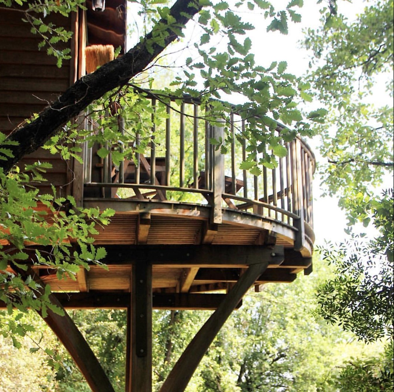 Bagheera — Cabane dans les arbres avec spa à Alpes-Maritimes à Saint-Auban — espace de vie
