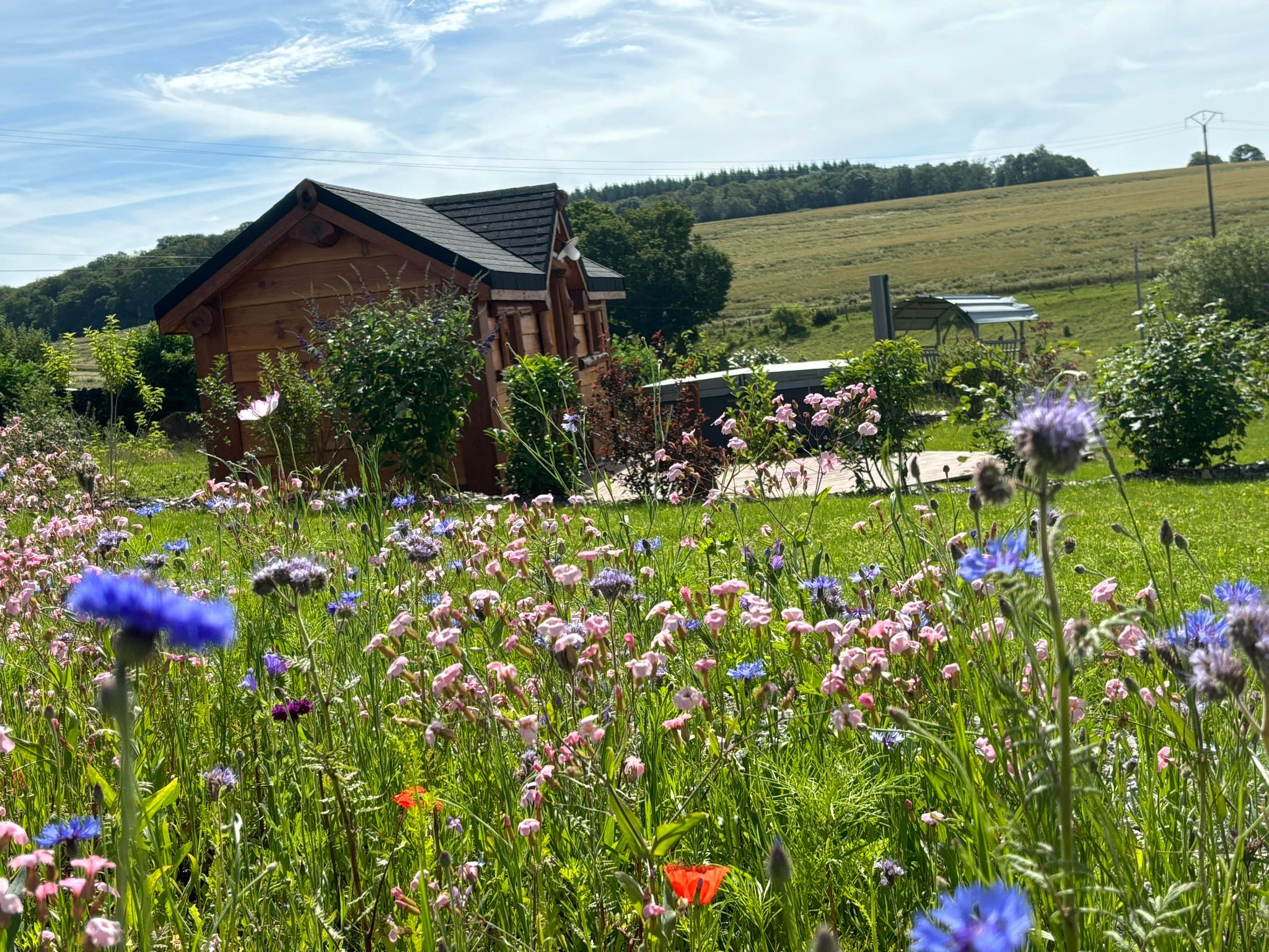 La petite Bicolia & Spa : une cabane en pleine nature