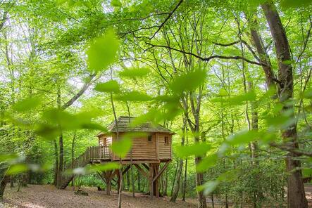 La Folie des Grandeurs : une cabane dans les arbres en Aquitaine à Coulx — vue depuis la terrasse